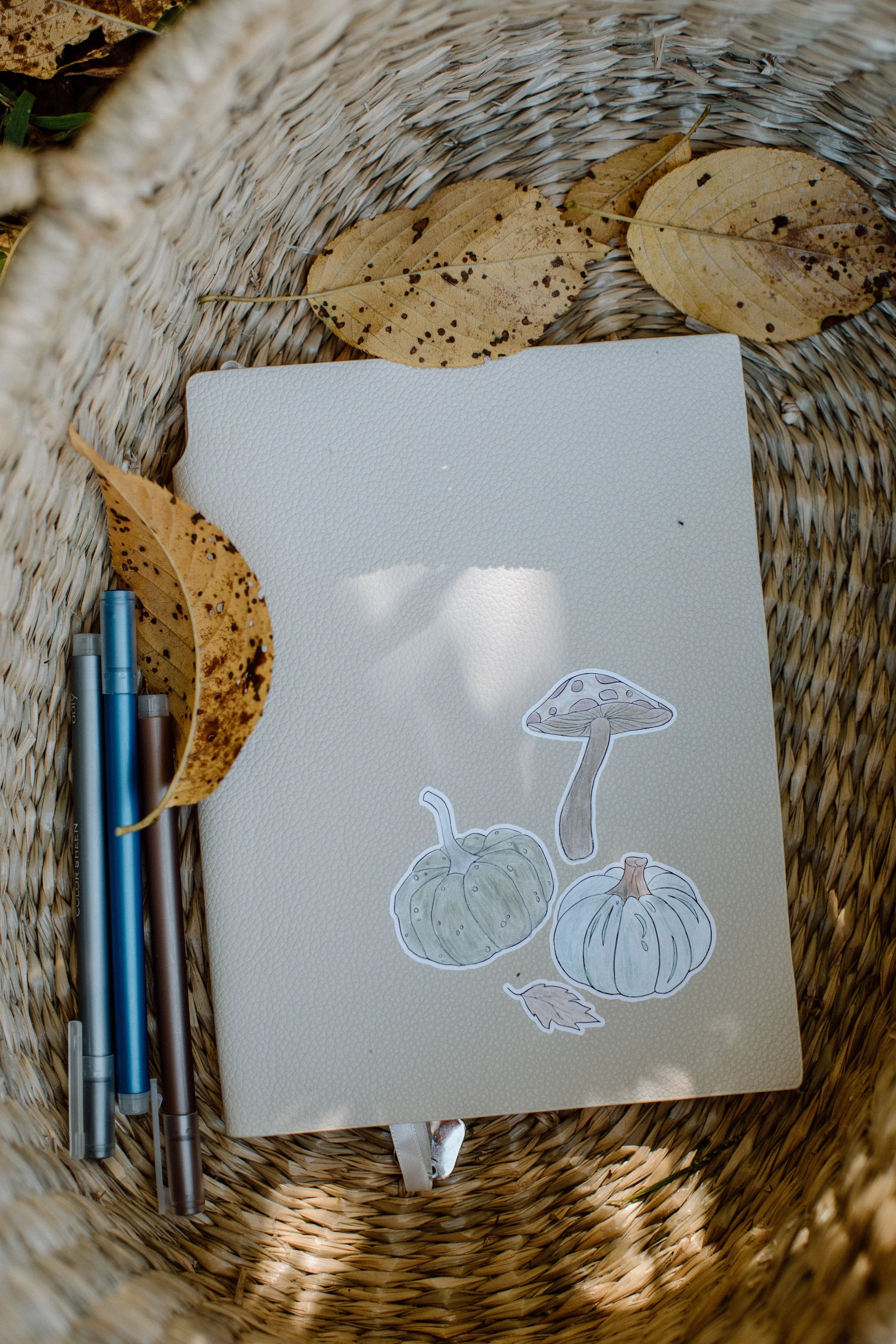 Hand-colored woodland stickers with pumpkins and mushroom used for creative fall play