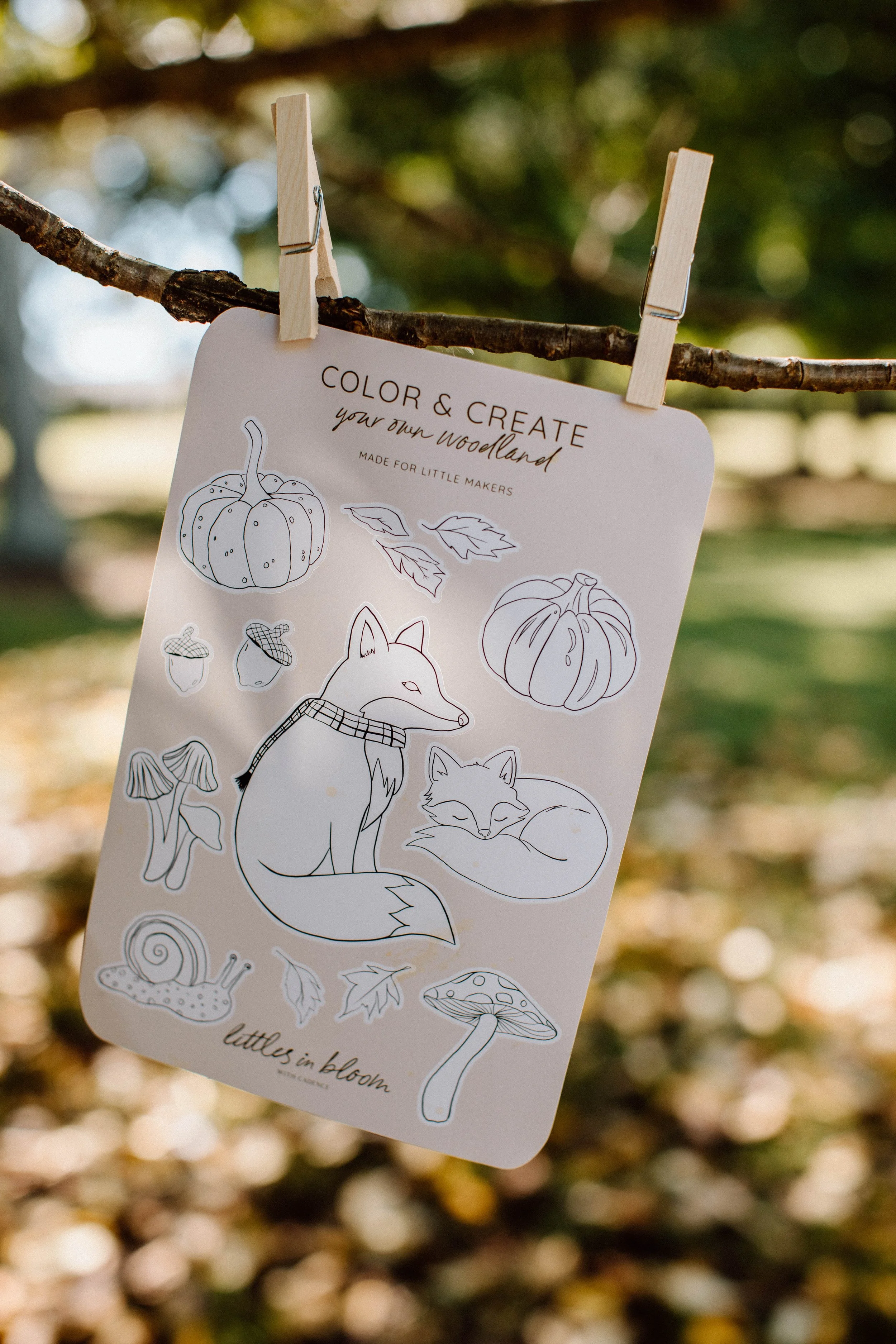 Woodland Color + Create kids sticker sheet displayed outdoors among fall leaves