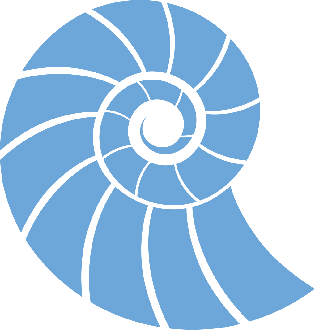 A stylized spiral illustration resembling a nautilus shell, with blue segments outlined in black on a black background.