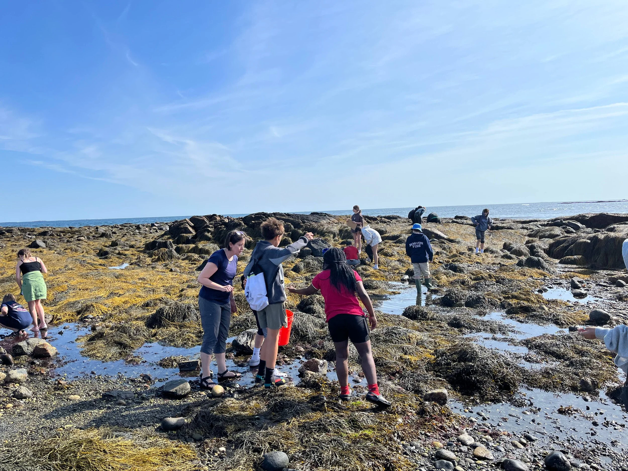 People exploring tide pools on a rocky shore under a clear blue sky, some dressed casually and some with waterproof boots, during daytime.