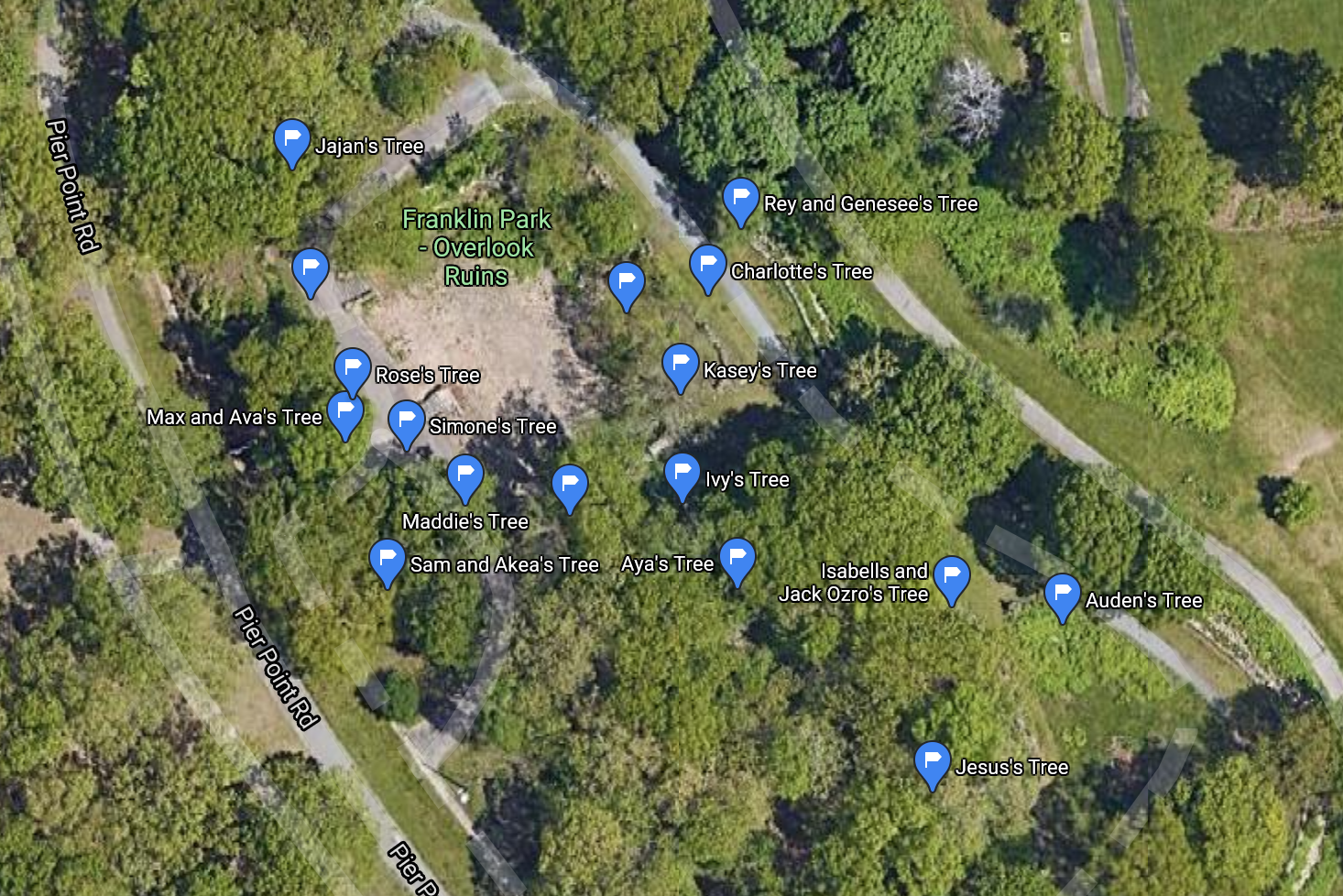 Franklin Park Tree Profiles