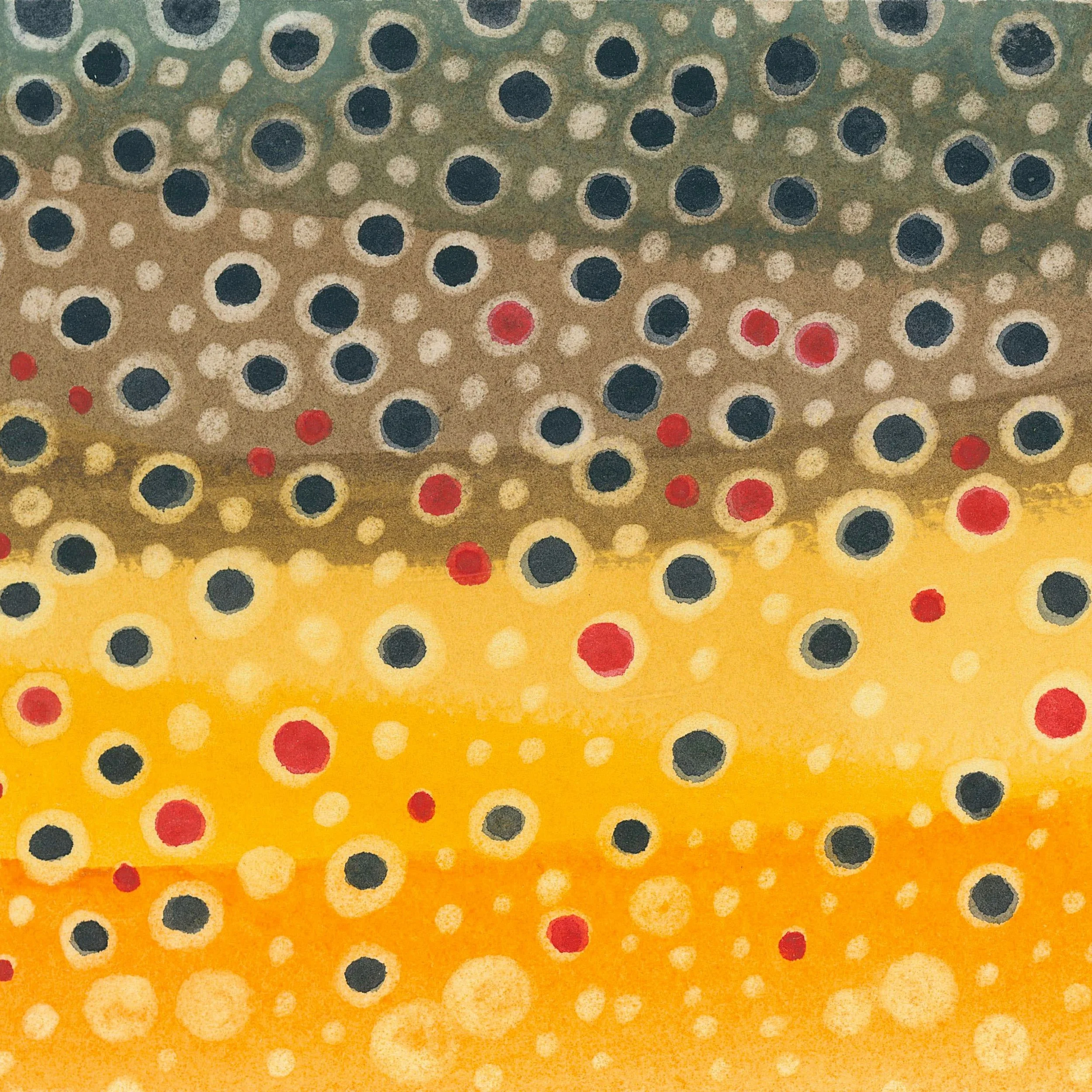 Brown Trout 501 Squarespace.jpeg