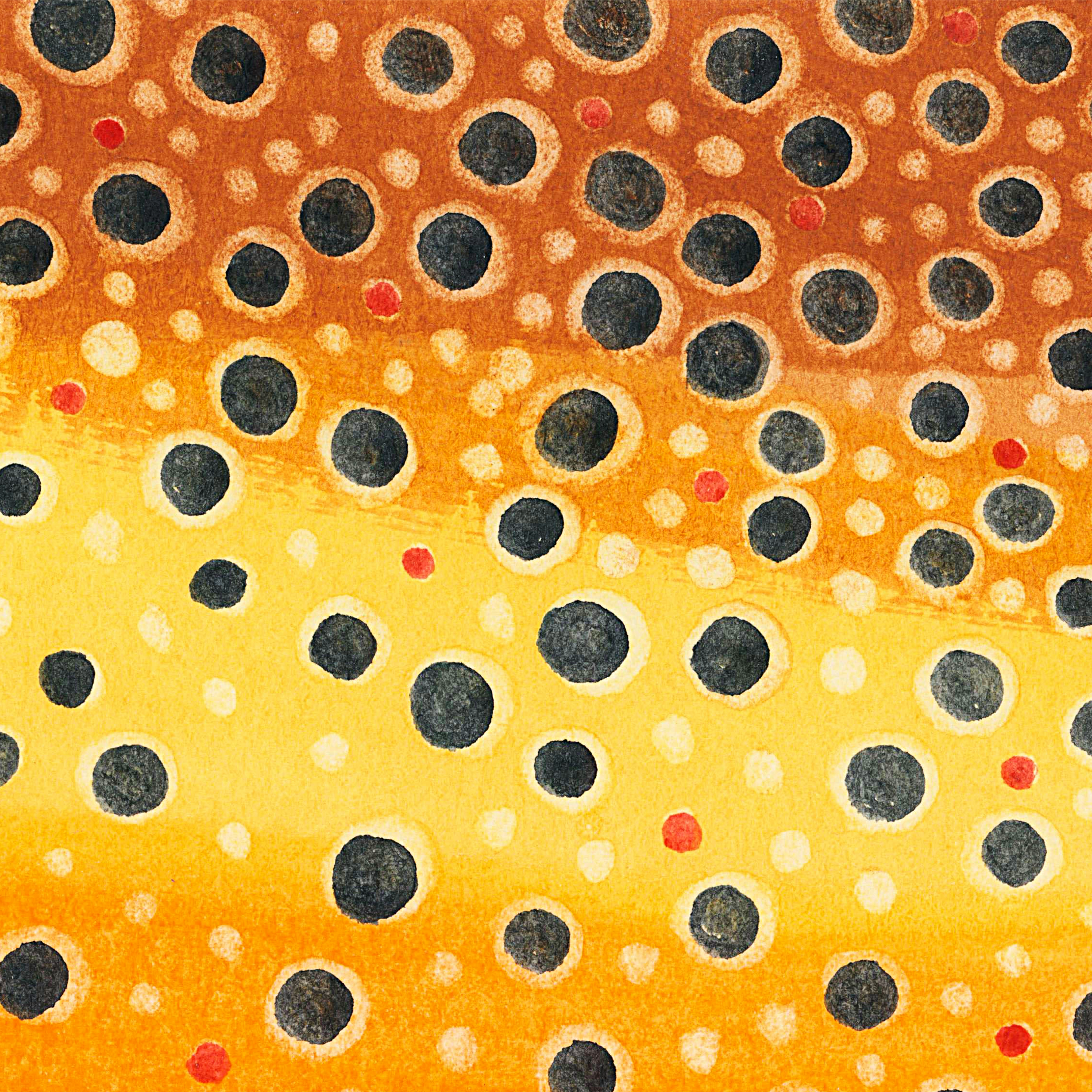 Brown Trout 101 Squarespace.png