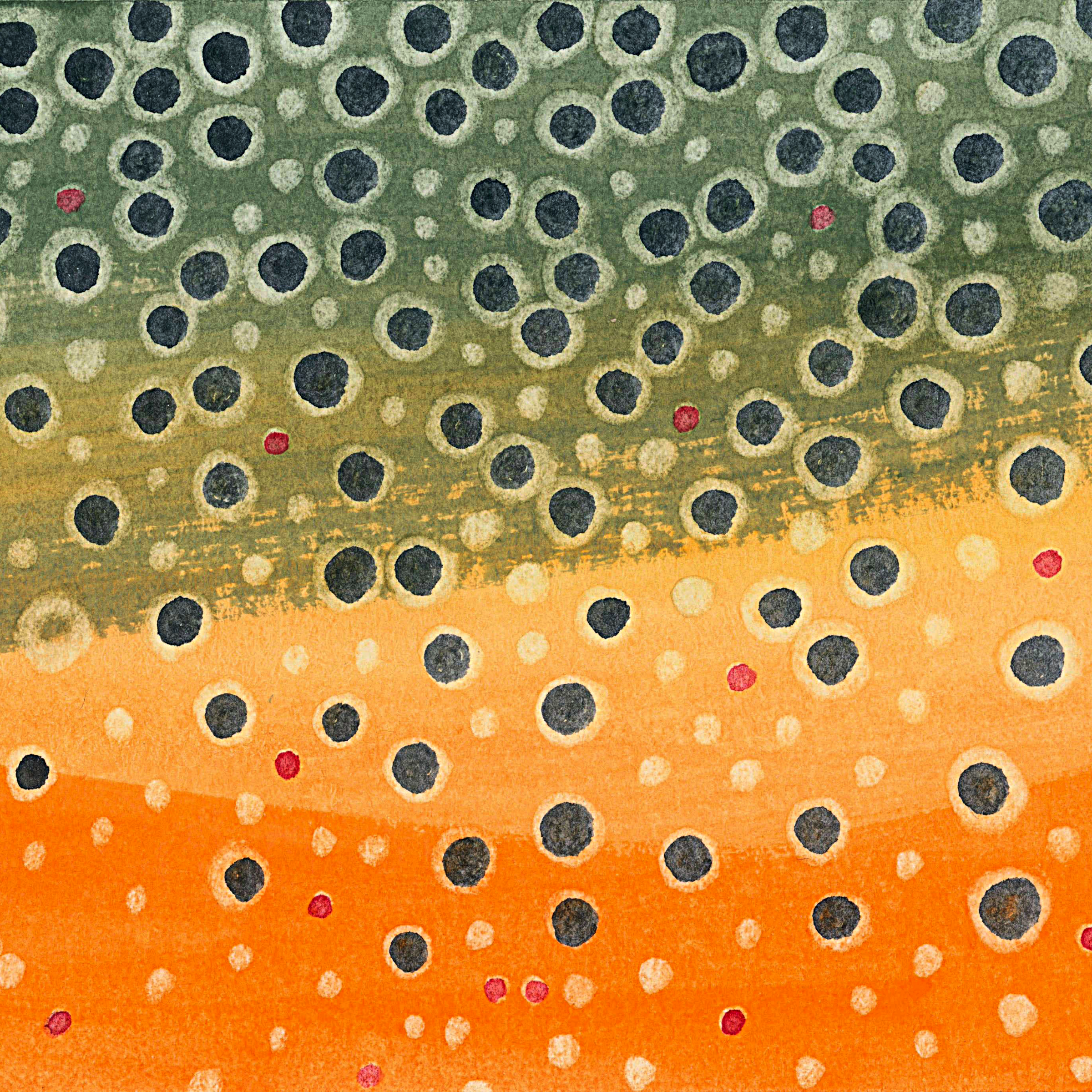 Brown Trout 201 No Bleed (1).png