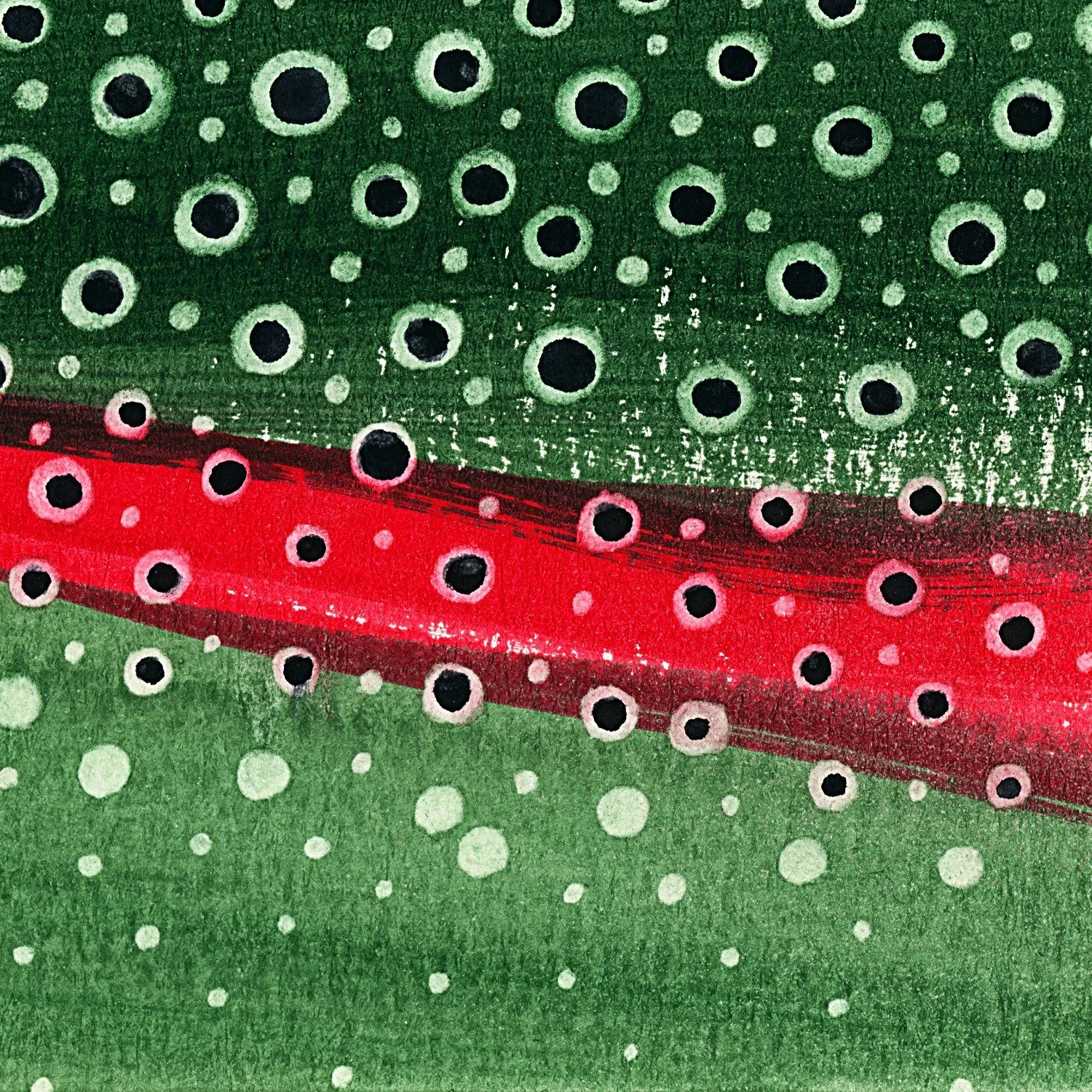Rainbow Trout 102 Squarespace (1).jpeg