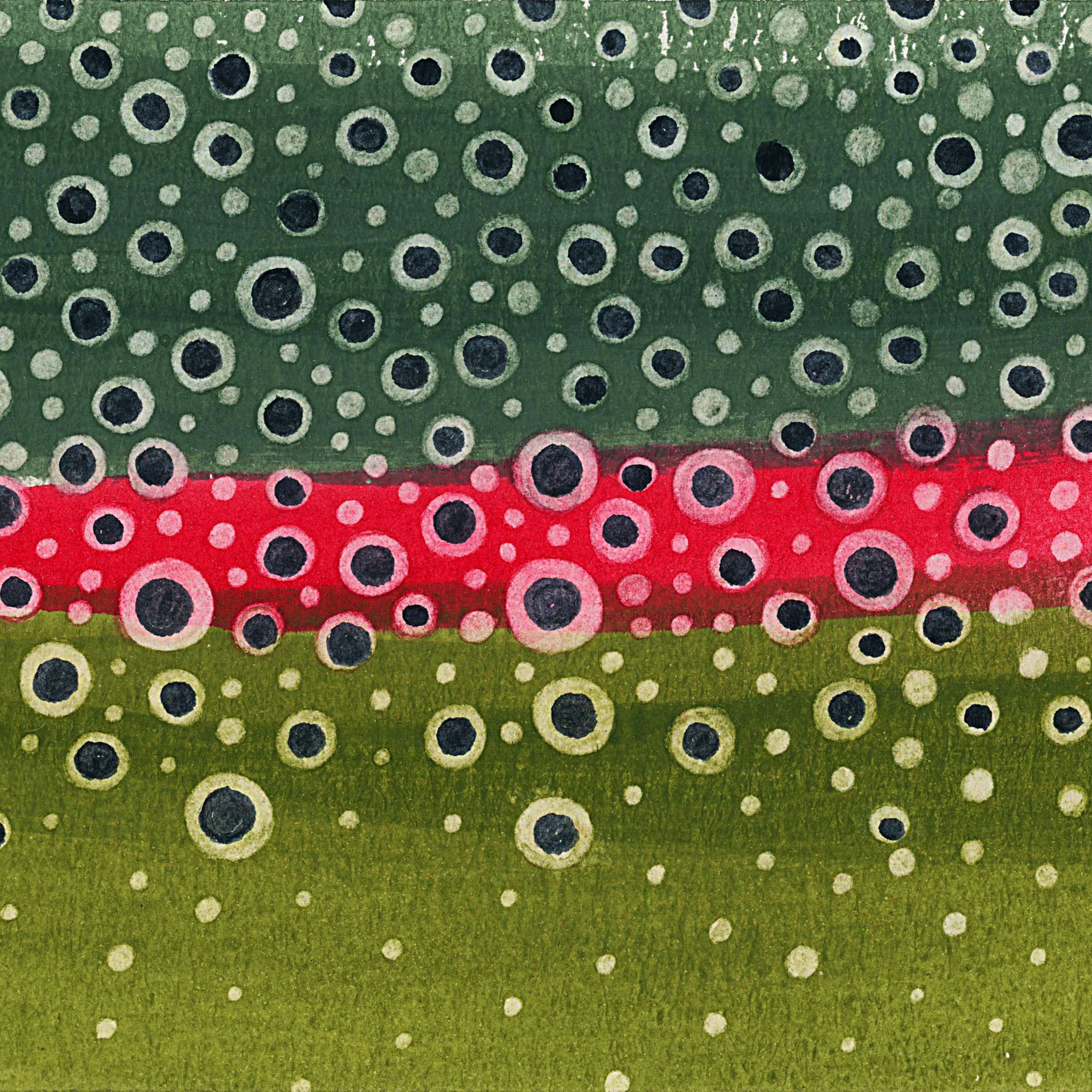 Rainbow Trout 101 Squarespace.jpeg