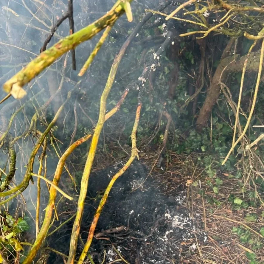 Arson Attack