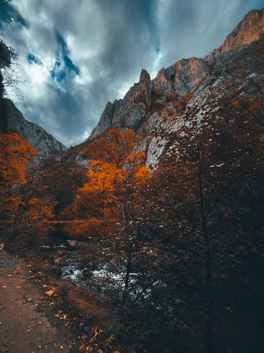 As The Leaves Start to Fall, It is Time Turn Inward