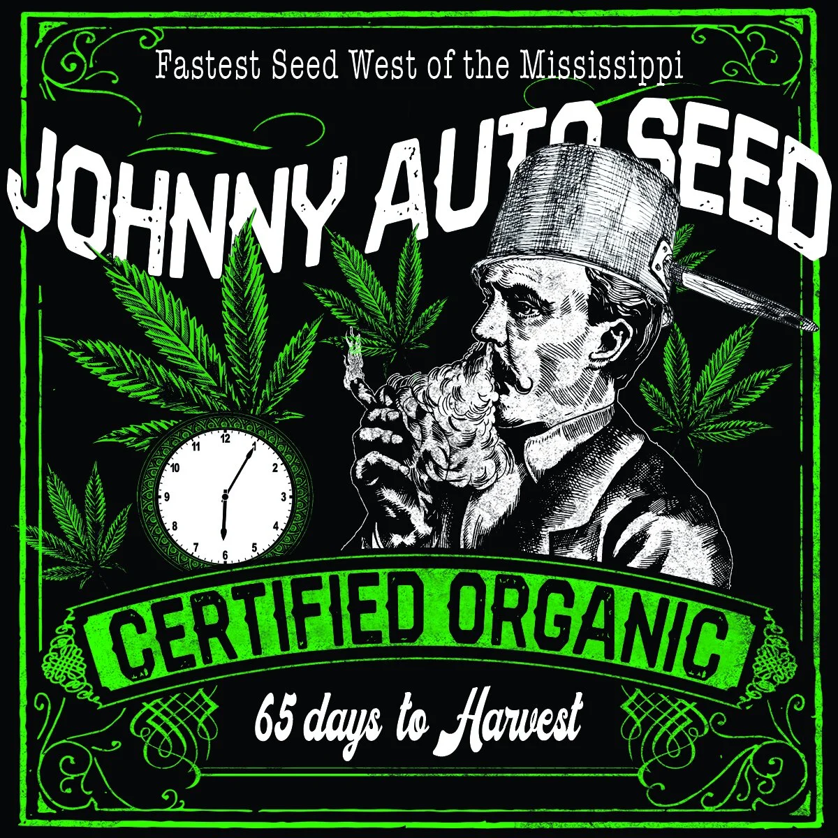 Label for Johnny Auto Seed Cannabis with green leaves, a pocket watch, and a vintage man smoking. Text includes 'Fastest Seed West of the Mississippi,' 'Certified Organic,' and '65 days to Harvest.'