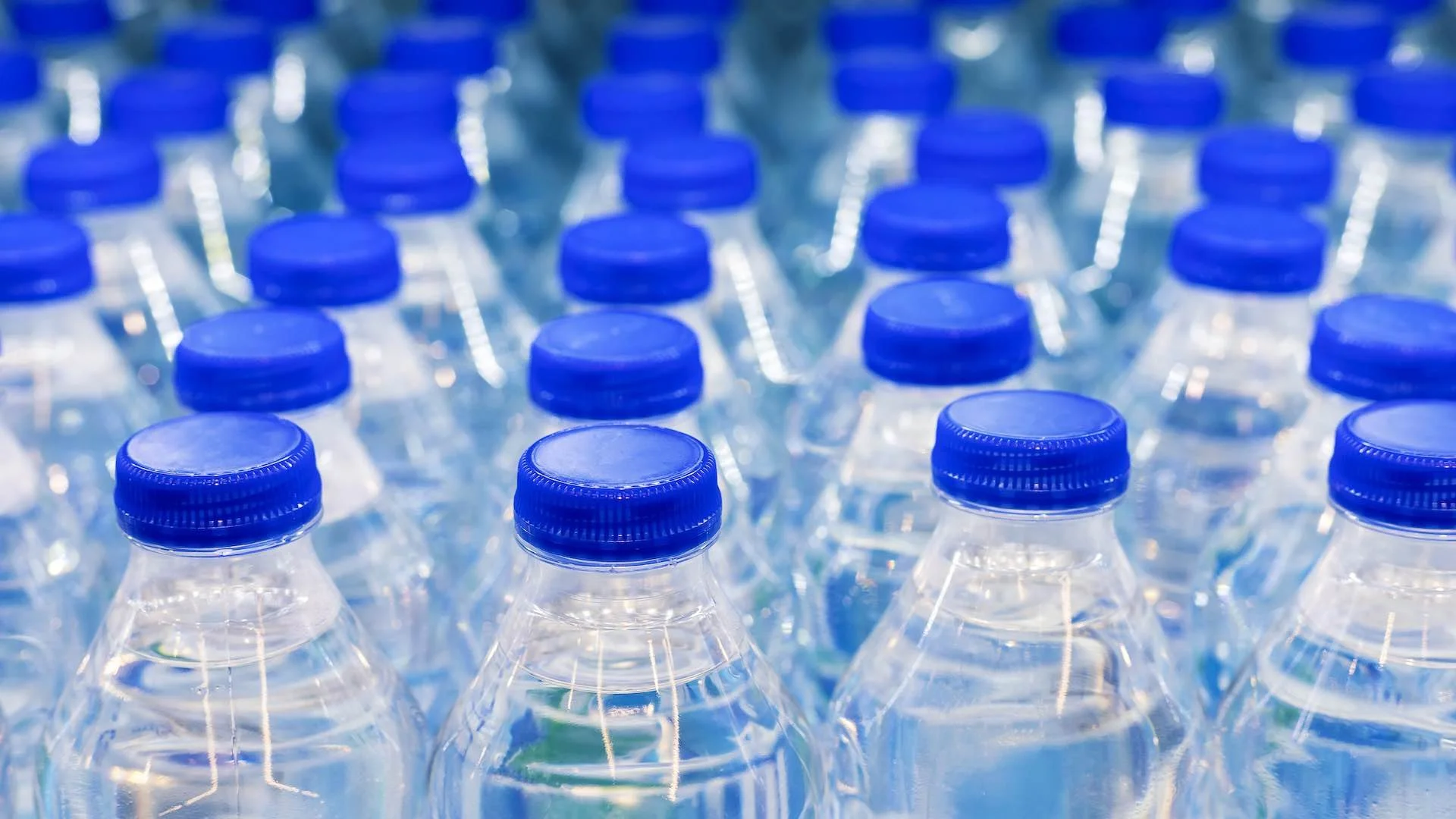 Multiple clear plastic water bottles with blue caps arranged in rows.