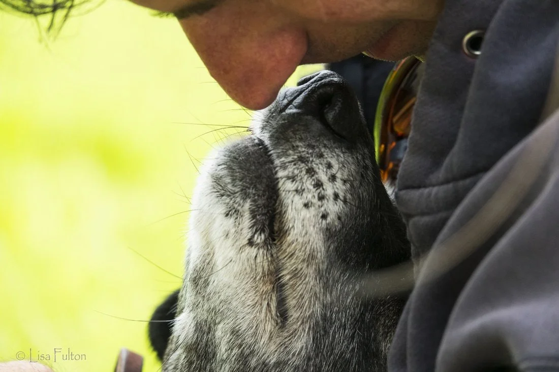 A person and a dog touching faces closely, showing a tender moment.