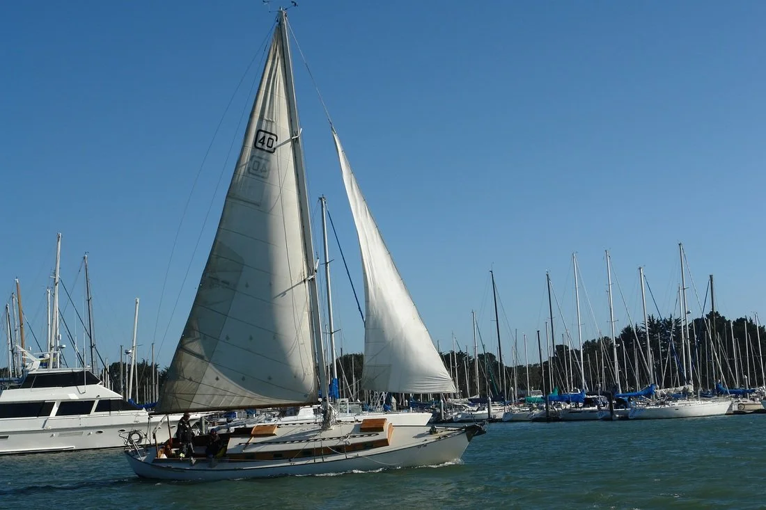 Sailboat with white sails on the water at a marina, with numerous other boats docked in the background under a clear blue sky.