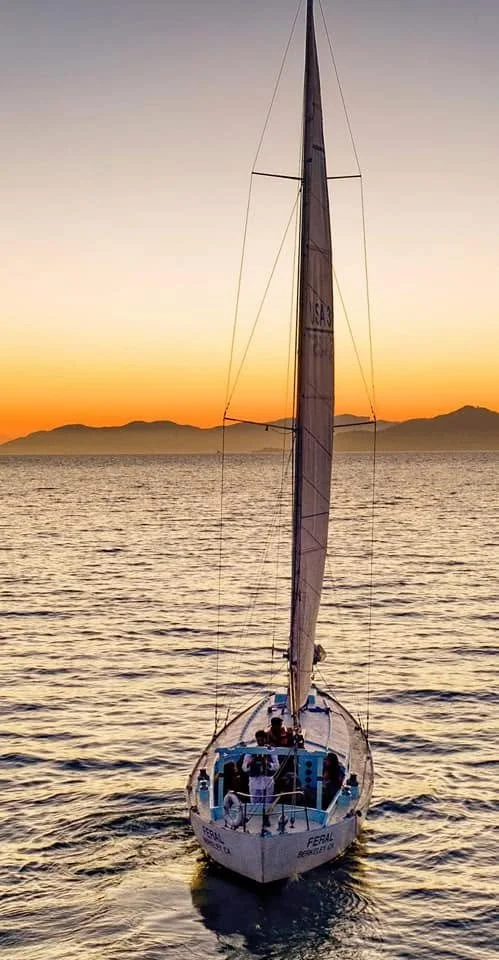 A sailboat with the name Feral sailing on calm water during sunset, with mountains in the background.