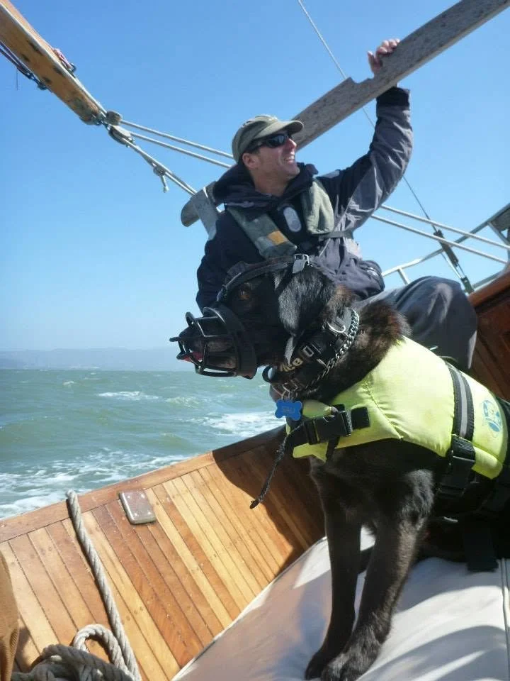 A man and a guide dog on a sailboat during daytime, with the man smiling and holding onto a sail mast, while the dog wears a life jacket and looks calmly ahead.