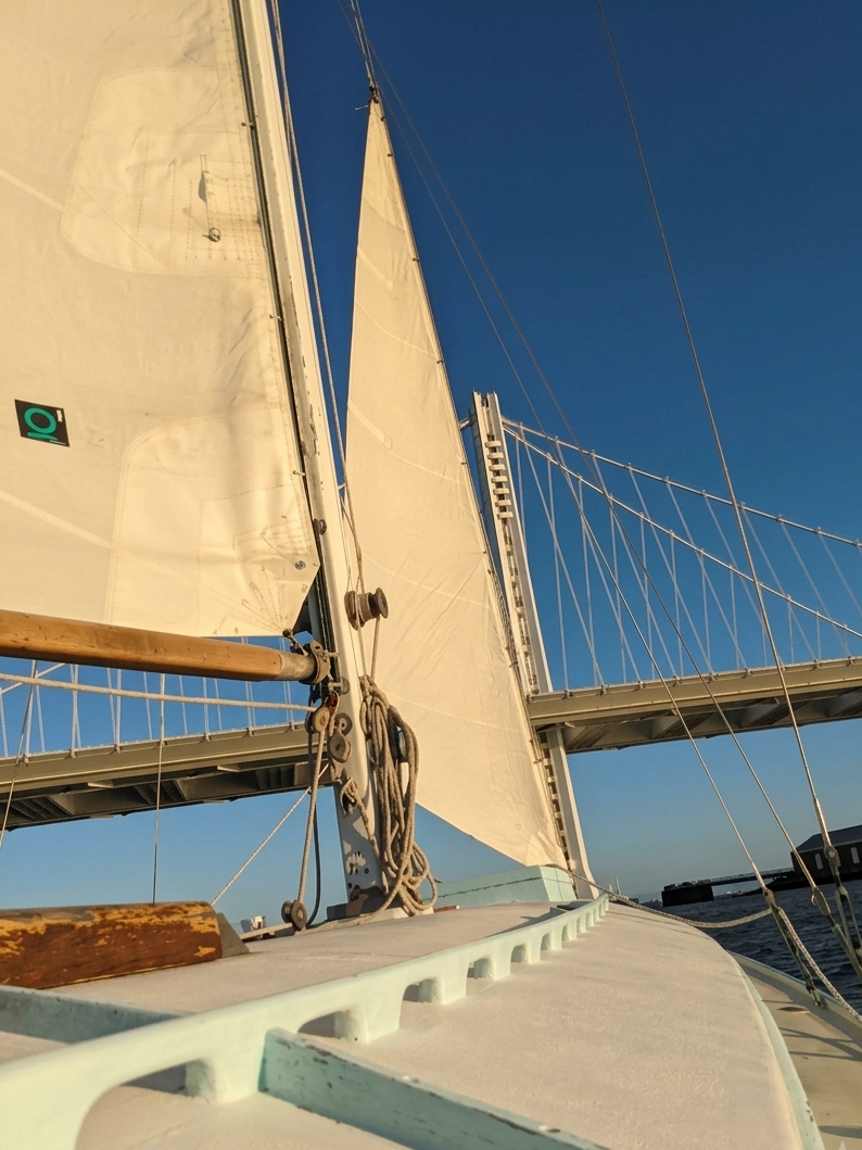 The photo shows the deck and sails of a white sailboat under the Bay Bridge, set against a clear blue sky.