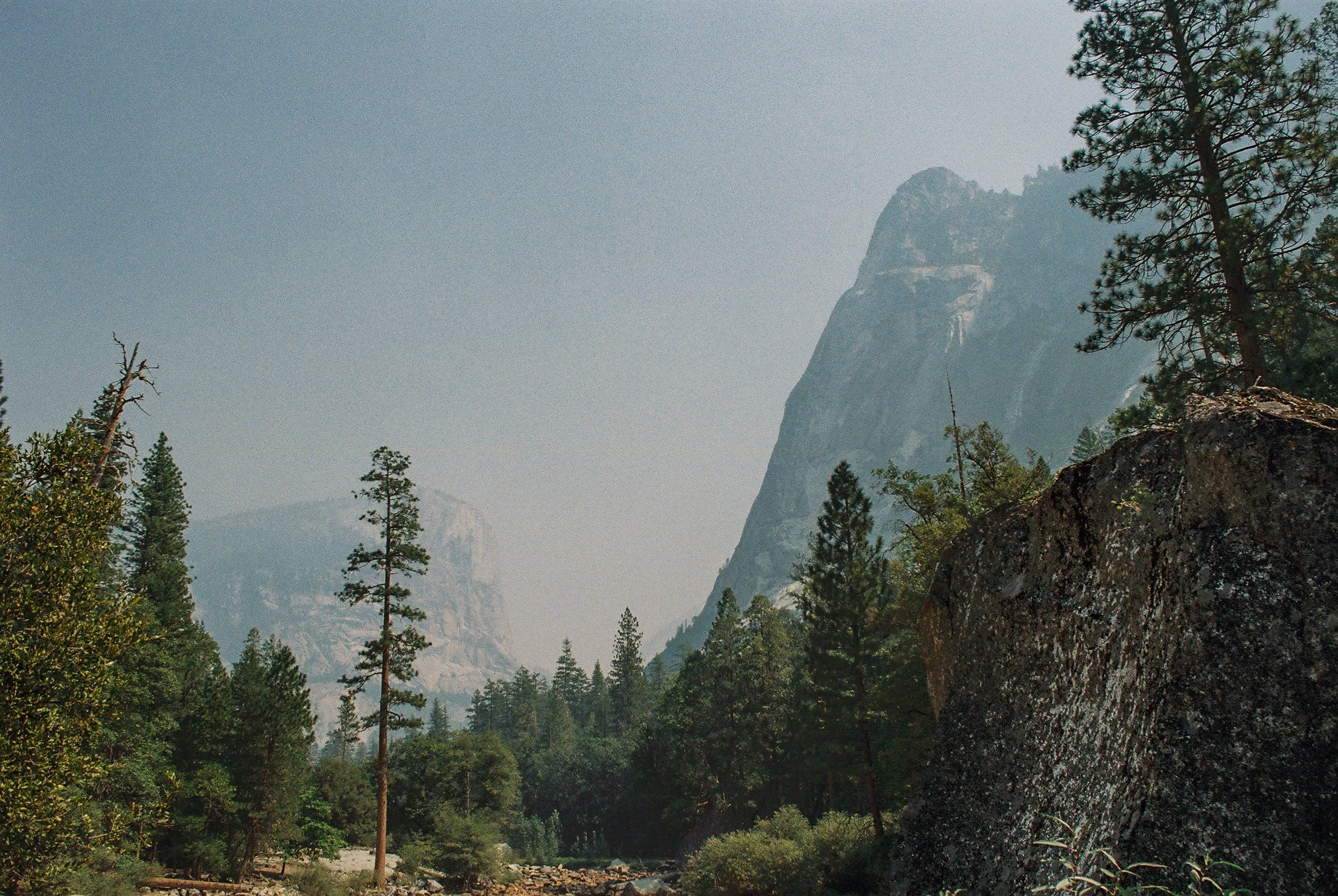 A scenic view of a mountainous landscape with tall pine trees, rugged rocks, and a hazy blue sky.