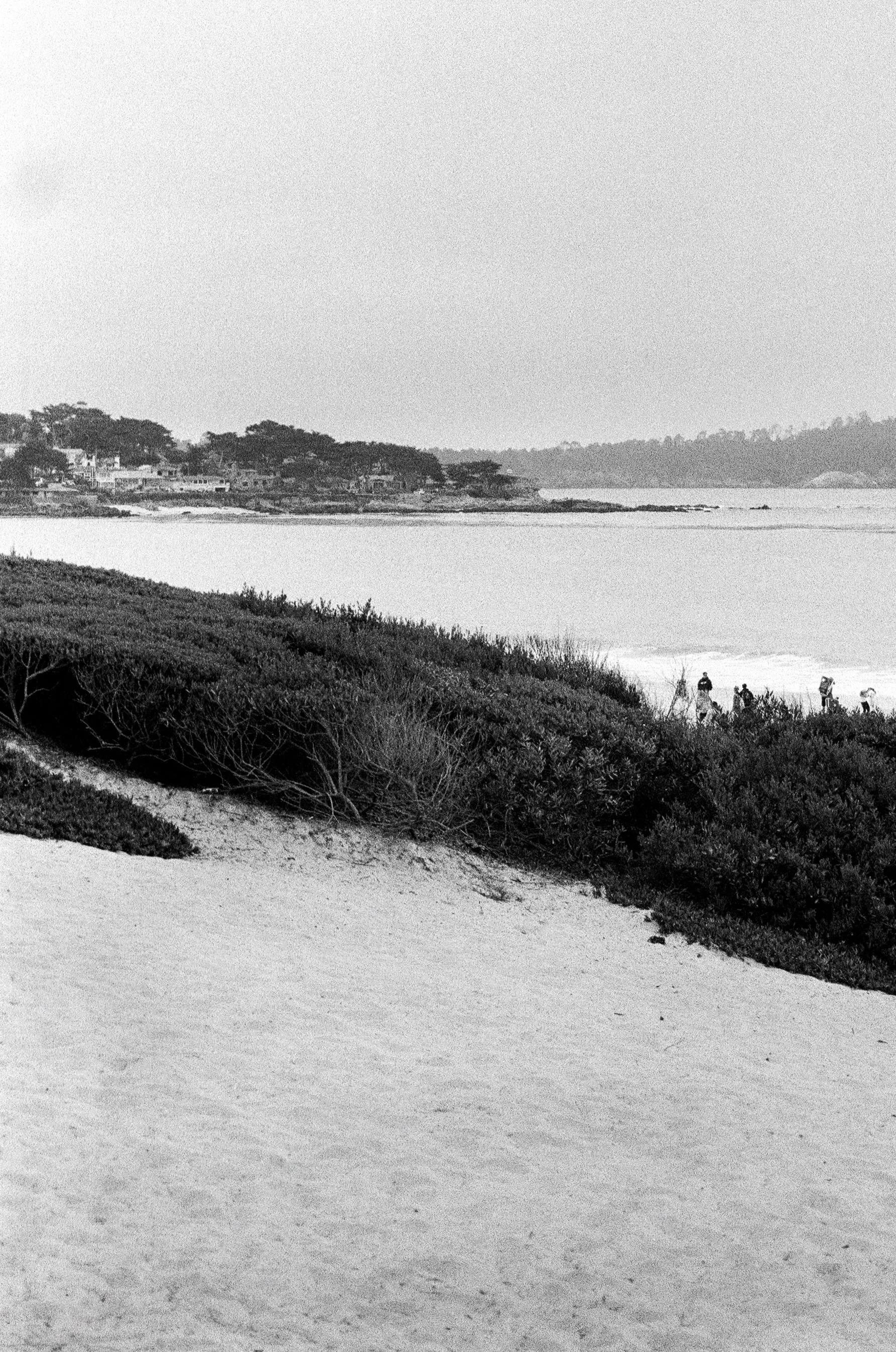 A black and white photograph of a beach landscape with a shoreline, sand dunes, bushes in the foreground, and houses on a hill in the background. There are several people walking along the beach near the dunes.