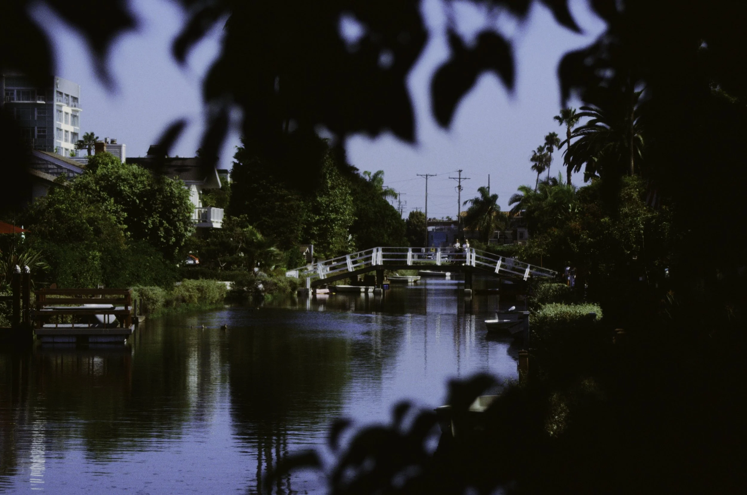 A peaceful scene of a small canal lined with lush green trees and buildings in the background, with a small white bridge crossing the water, seen through dark tree leaves.