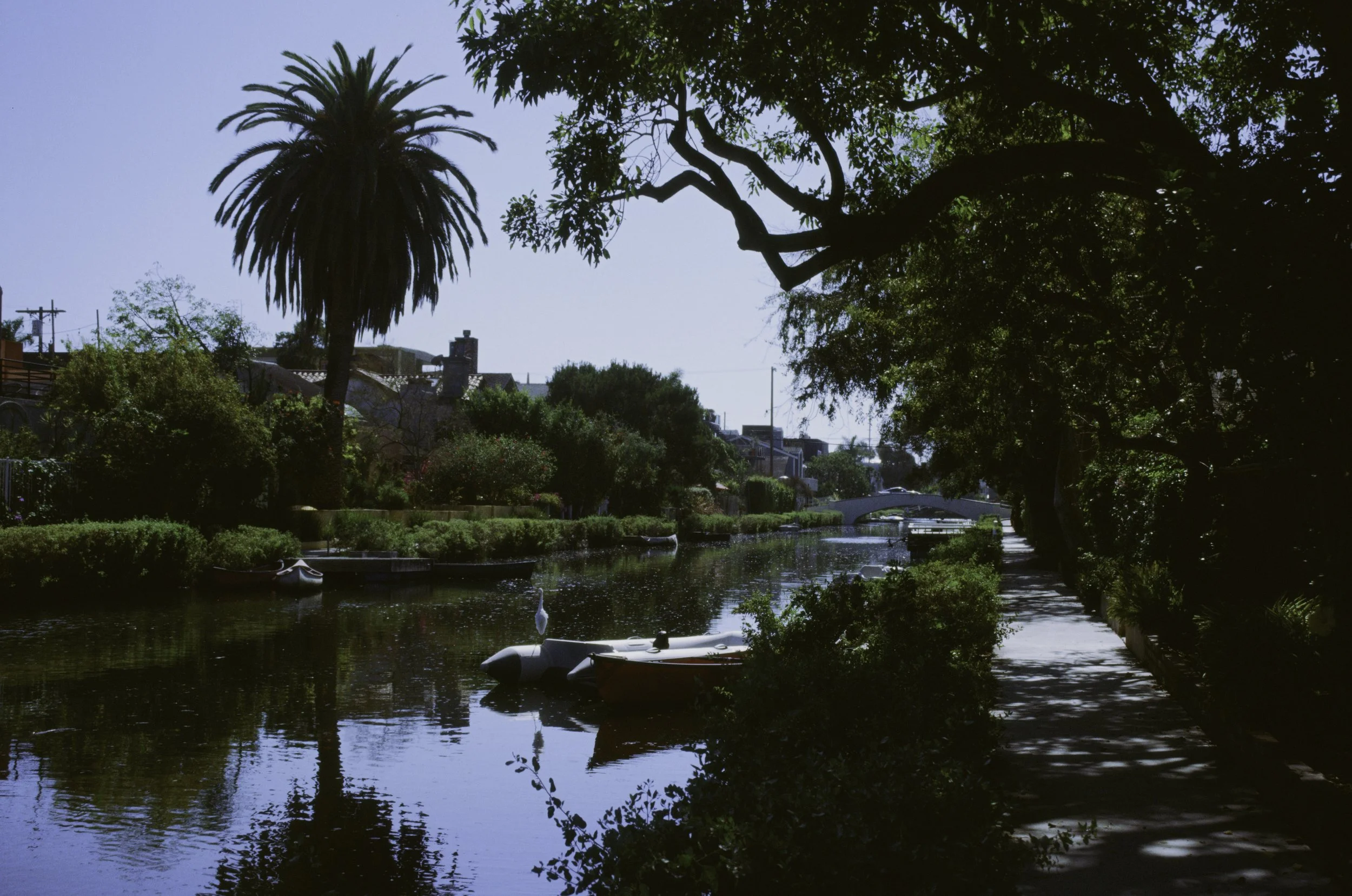 A canal with boats docked along the side, surrounded by lush green trees, with residential houses and a bridge in the background, under a clear sky.