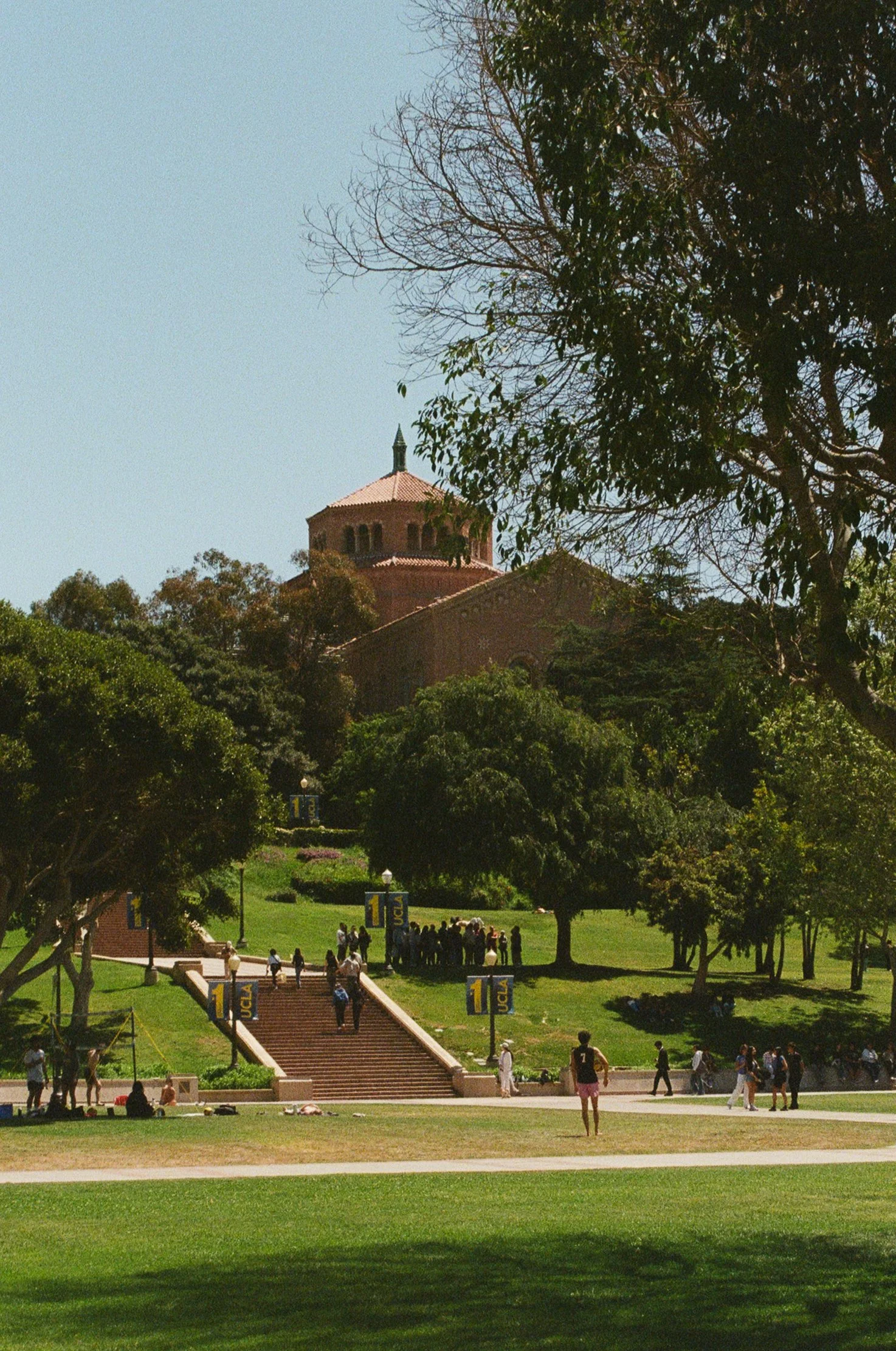 A university campus with a staircase leading up to a historic building partially covered by trees, with people walking and gathering on the lawn.