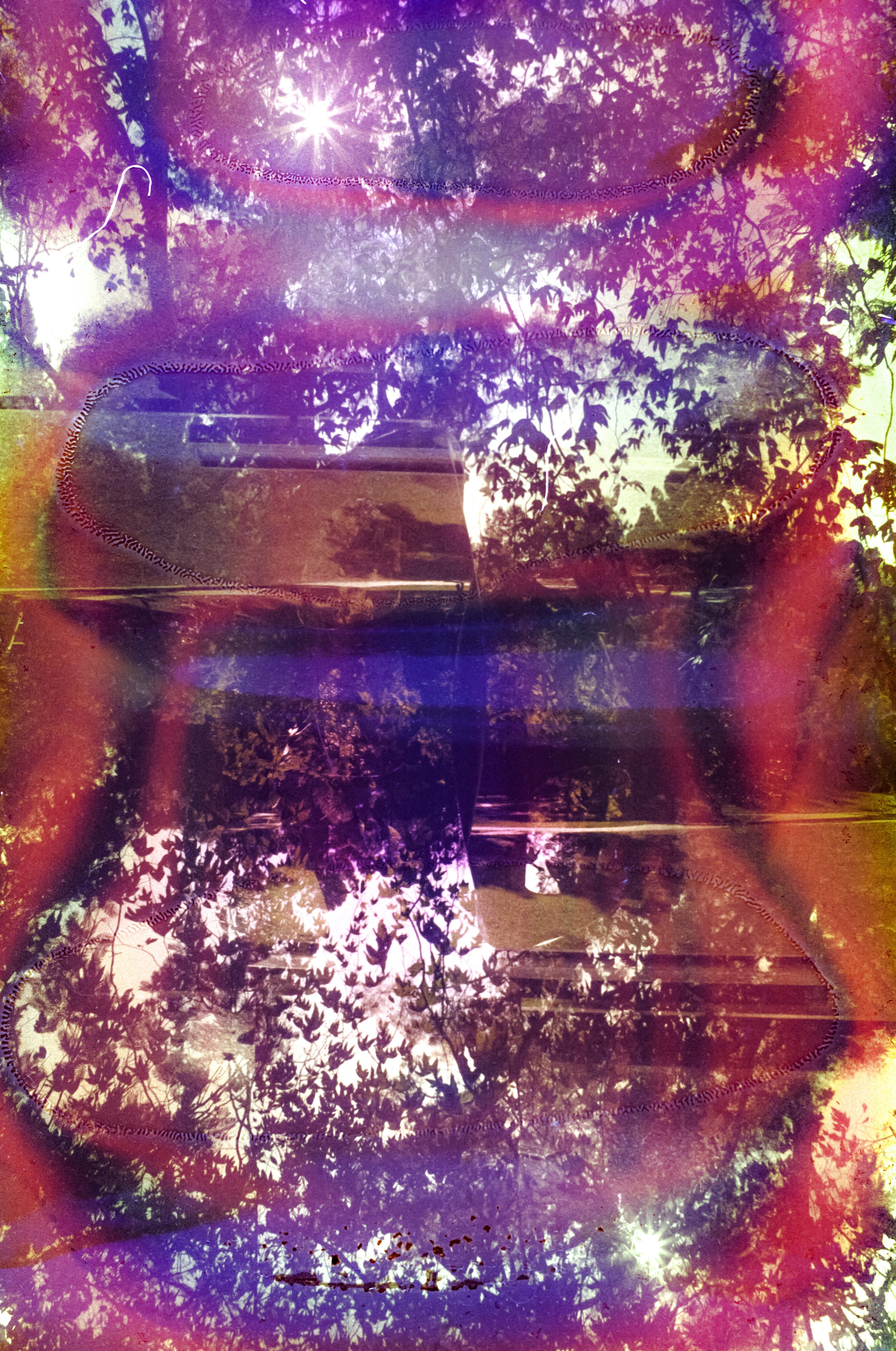 Repeated sunlight and leafy tree canopies overlap a campus building in magenta, purple, and blue.