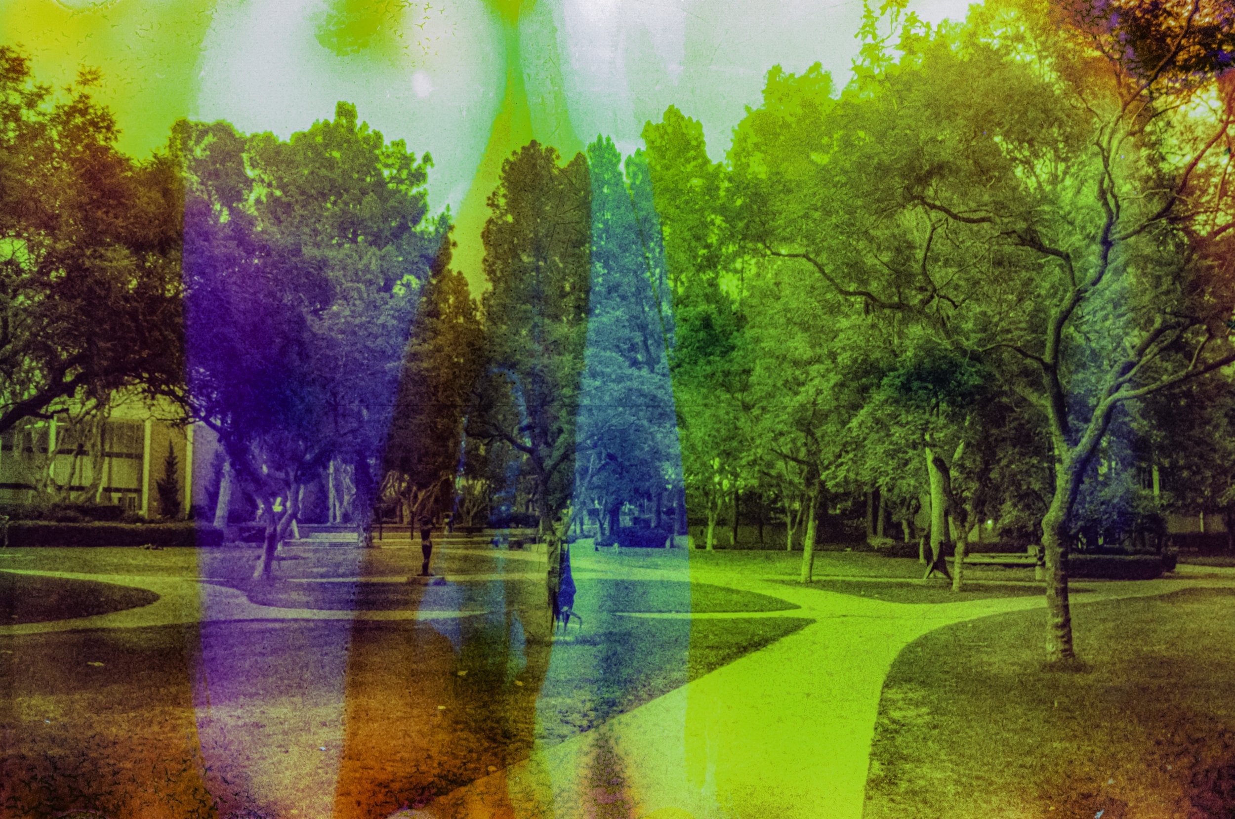 Tree-lined paths crossing the UCLA campus beneath vertical fields of green, yellow, purple, and blue.