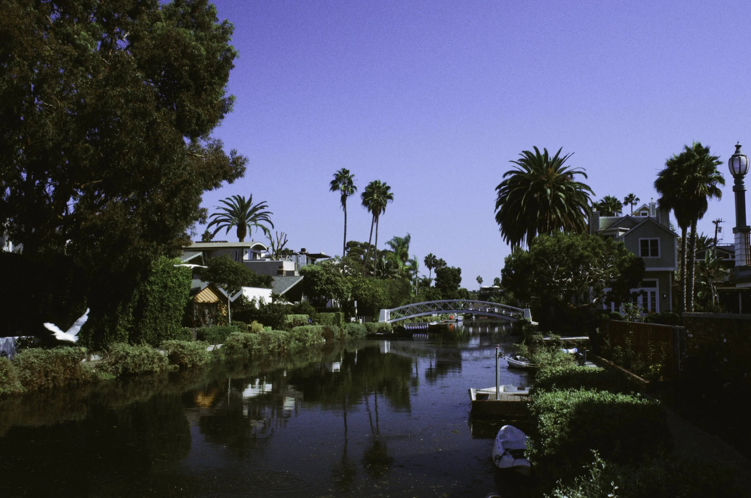 A canal with calm water reflecting the surrounding trees and houses. Tall palm trees and lush greenery are visible along the banks. A small bridge crosses the canal, and a bright blue sky tops the scene.