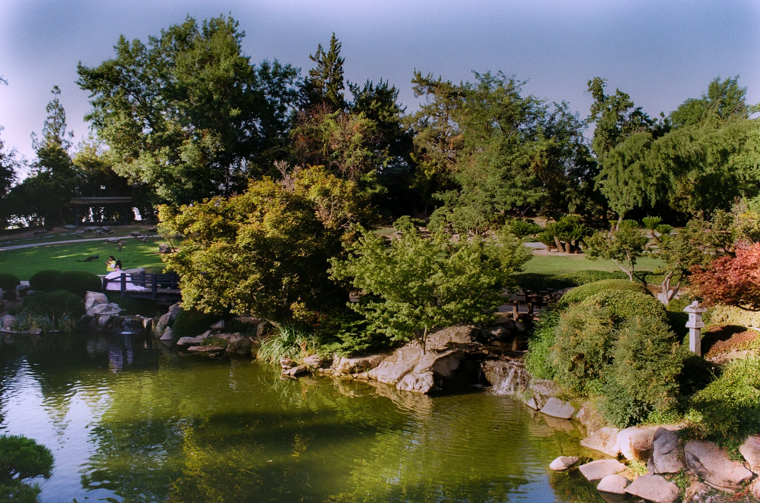 A serene park scene with a pond in the foreground, surrounded by lush green trees and bushes. Two people are sitting on a bench near the water, and a traditional Japanese stone lantern is visible on the right side. The sky is clear and blue.