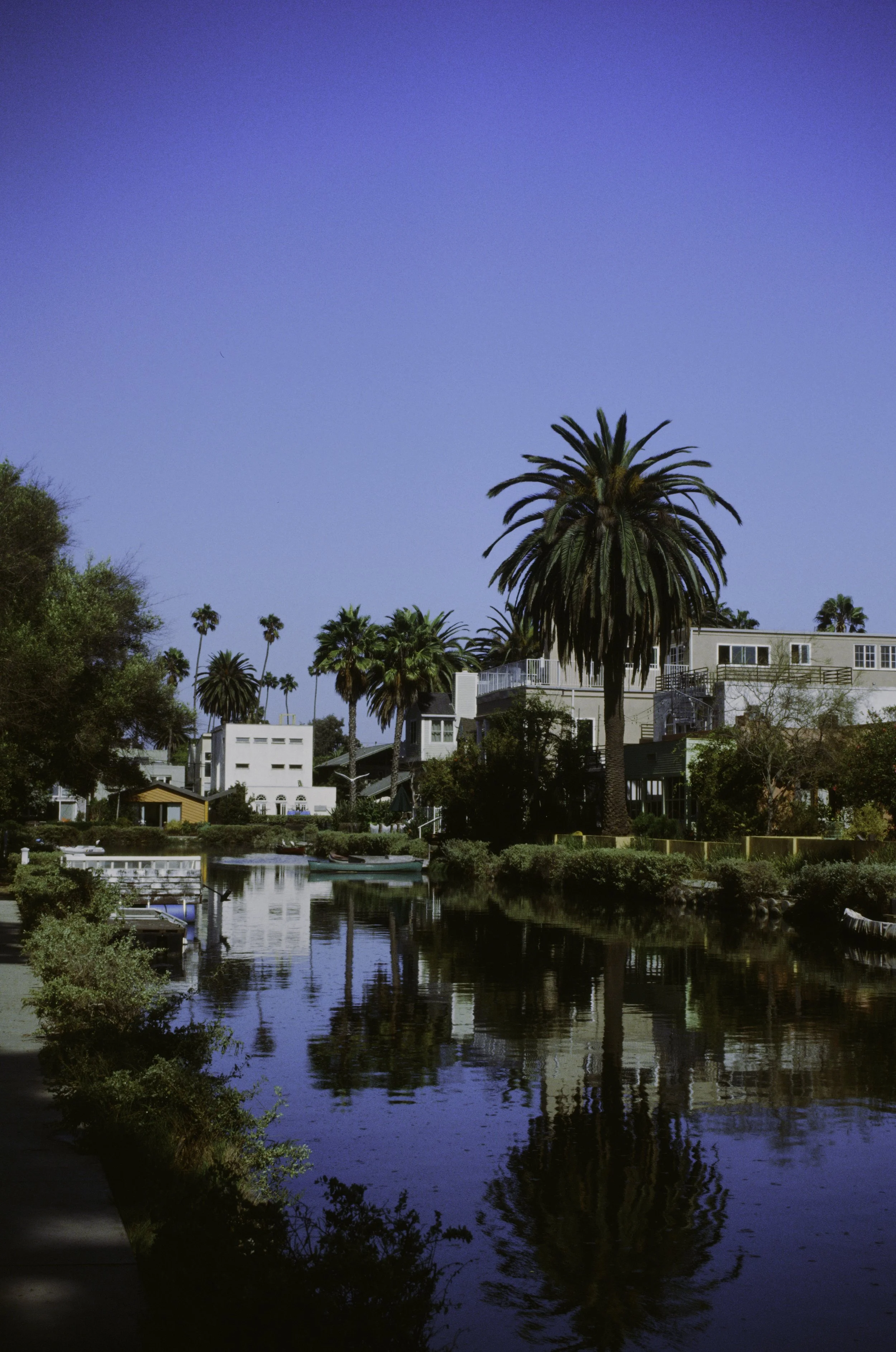 A canal or river with boats docked along the edge, surrounded by lush green bushes, trees, and tall palm trees with a clear blue sky overhead.