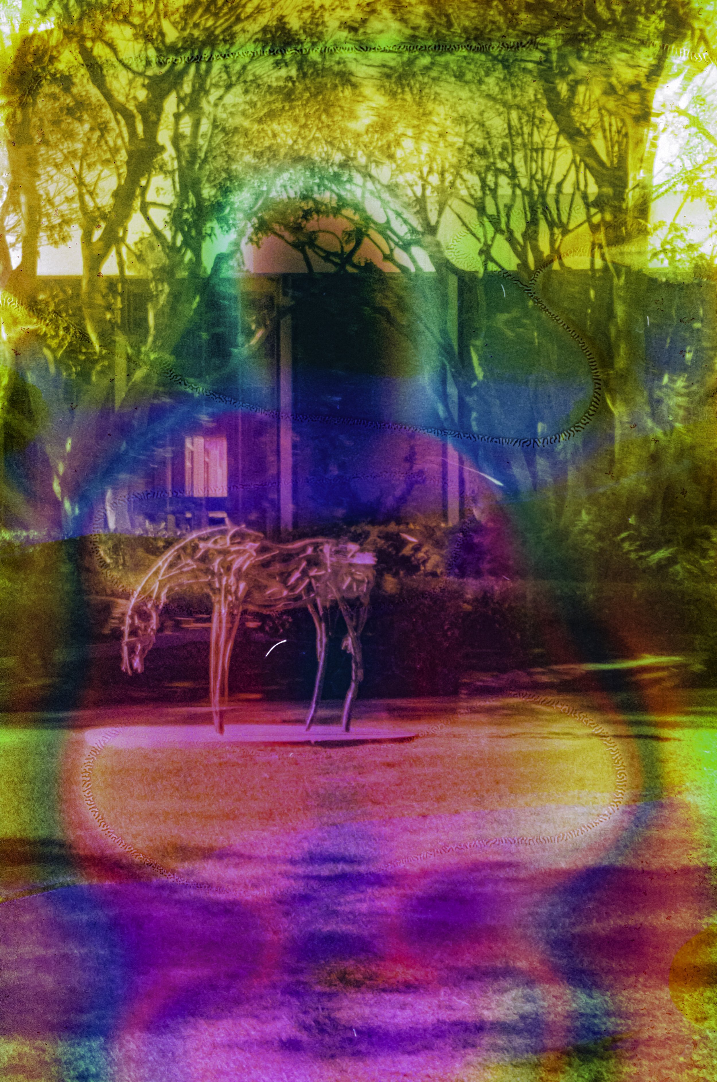 A skeletal sculpture among foliage at UCLA, encircled by red, green, blue, and violet chemical bands.