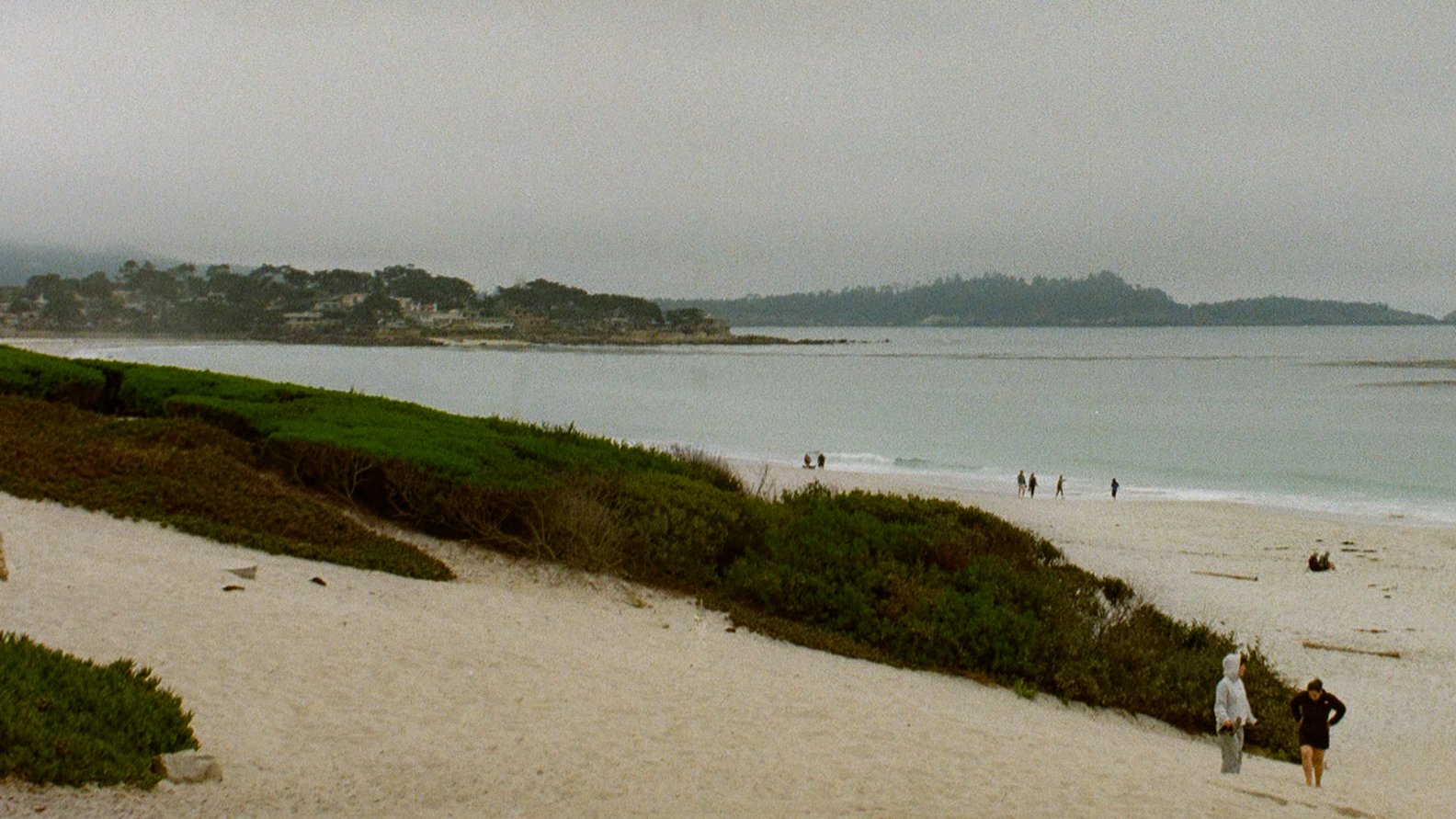 Beach scene with cloudy sky, green bushes, sandy shore, and people walking near the water on a calm day.