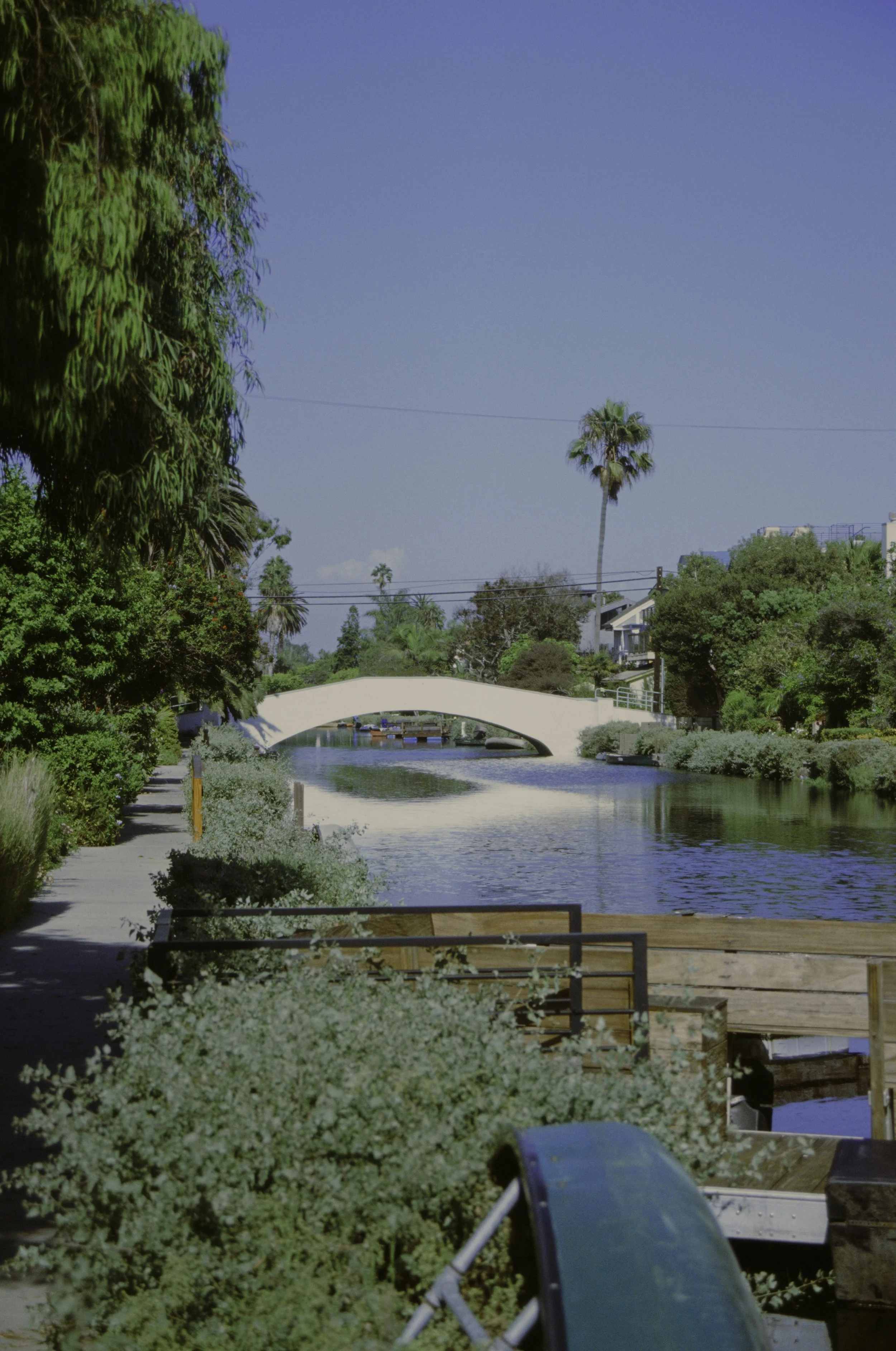 A white bridge crosses over a calm waterway with lush green trees surrounding the area, clear blue sky overhead, and tall palm trees visible in the distance.