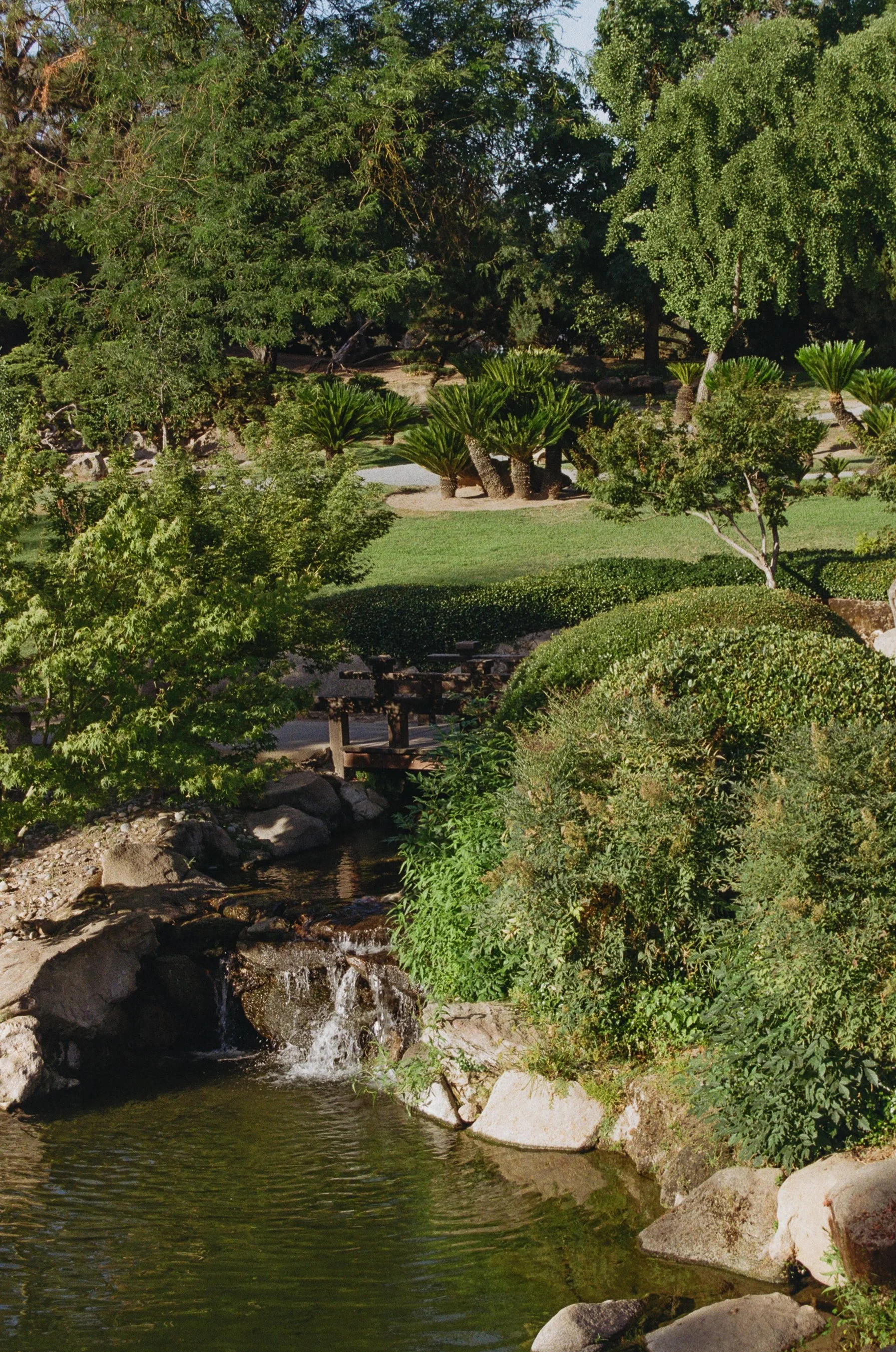 A scene of a small creek with rocks and water, surrounded by lush green trees and bushes in a park or garden setting.