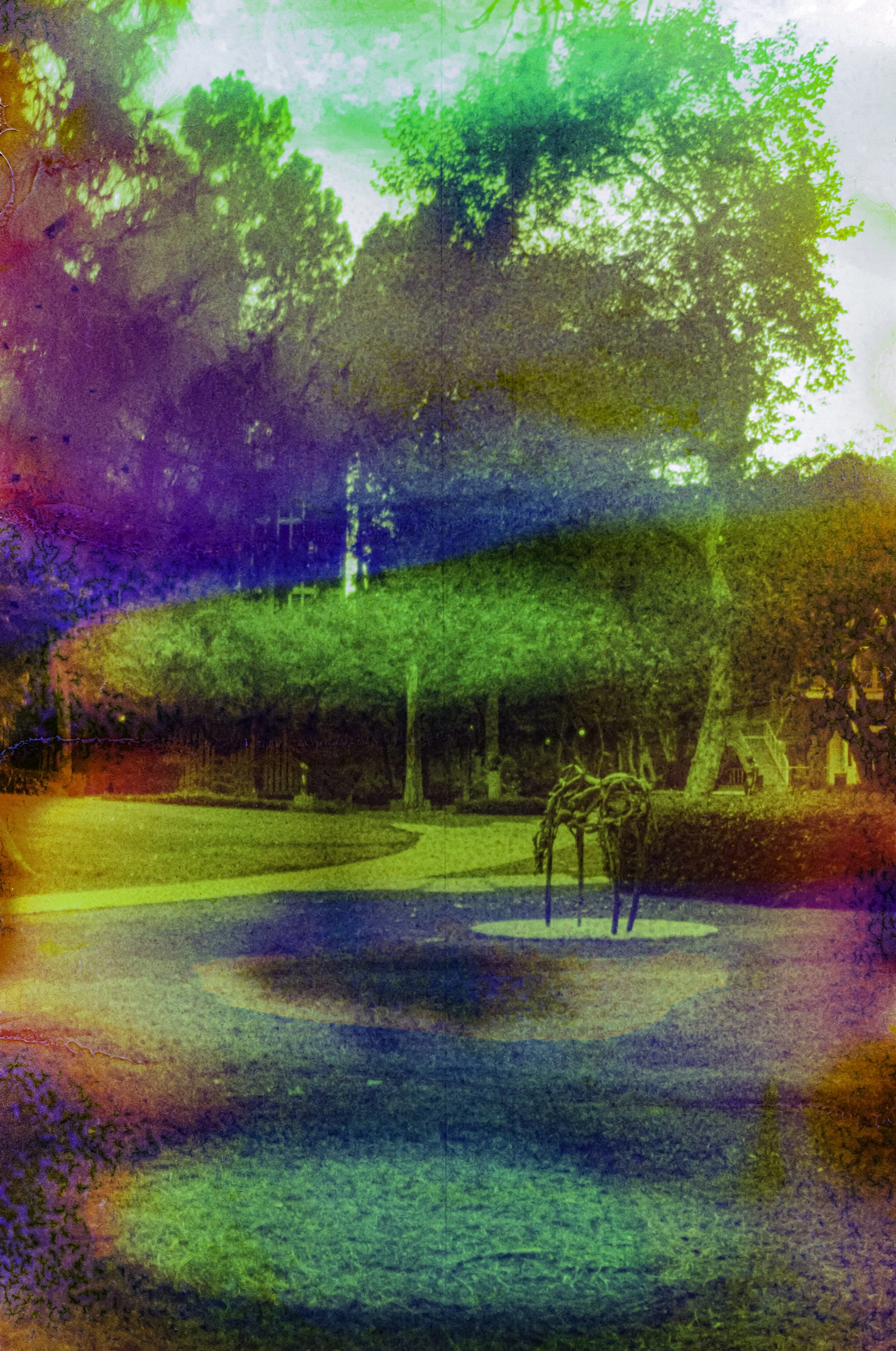 A path through UCLA’s sculpture garden surrounded by trees and washed in green and violet chemical color.