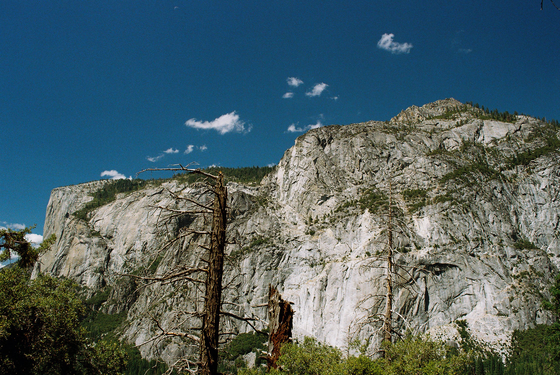 A mountainous landscape with steep, gray granite cliffs and sparse trees, some dead, under a partly cloudy blue sky.