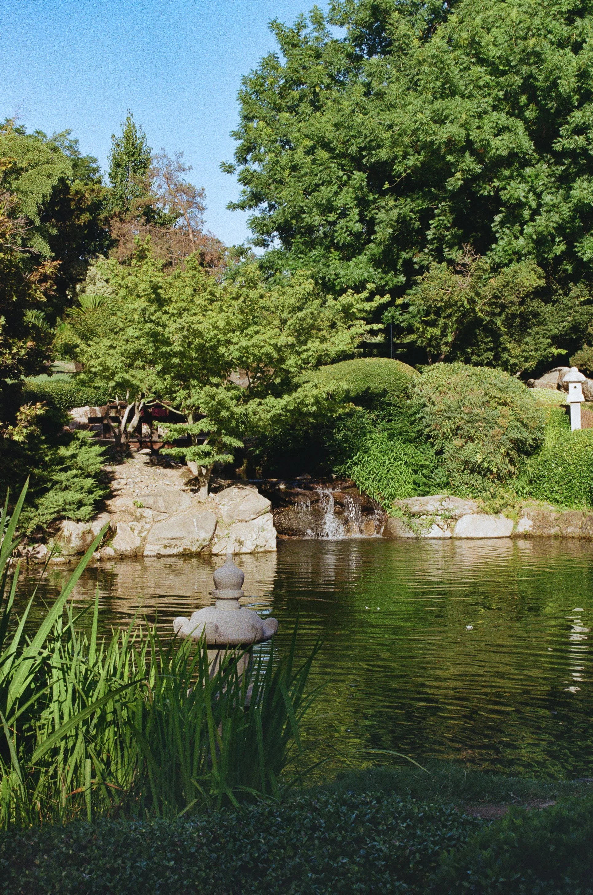 A peaceful garden scene with a pond, a white stone lantern, lush green trees and bushes, rocks, and a small waterfall.