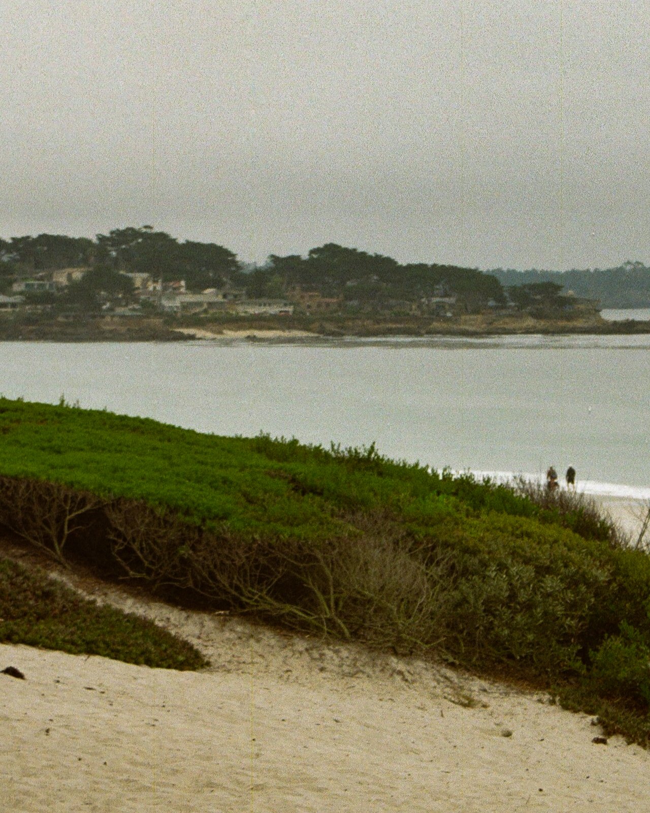 A beach with sandy shoreline, green bushes, and two people walking by the water. In the background, there is a body of water and houses on a hillside.