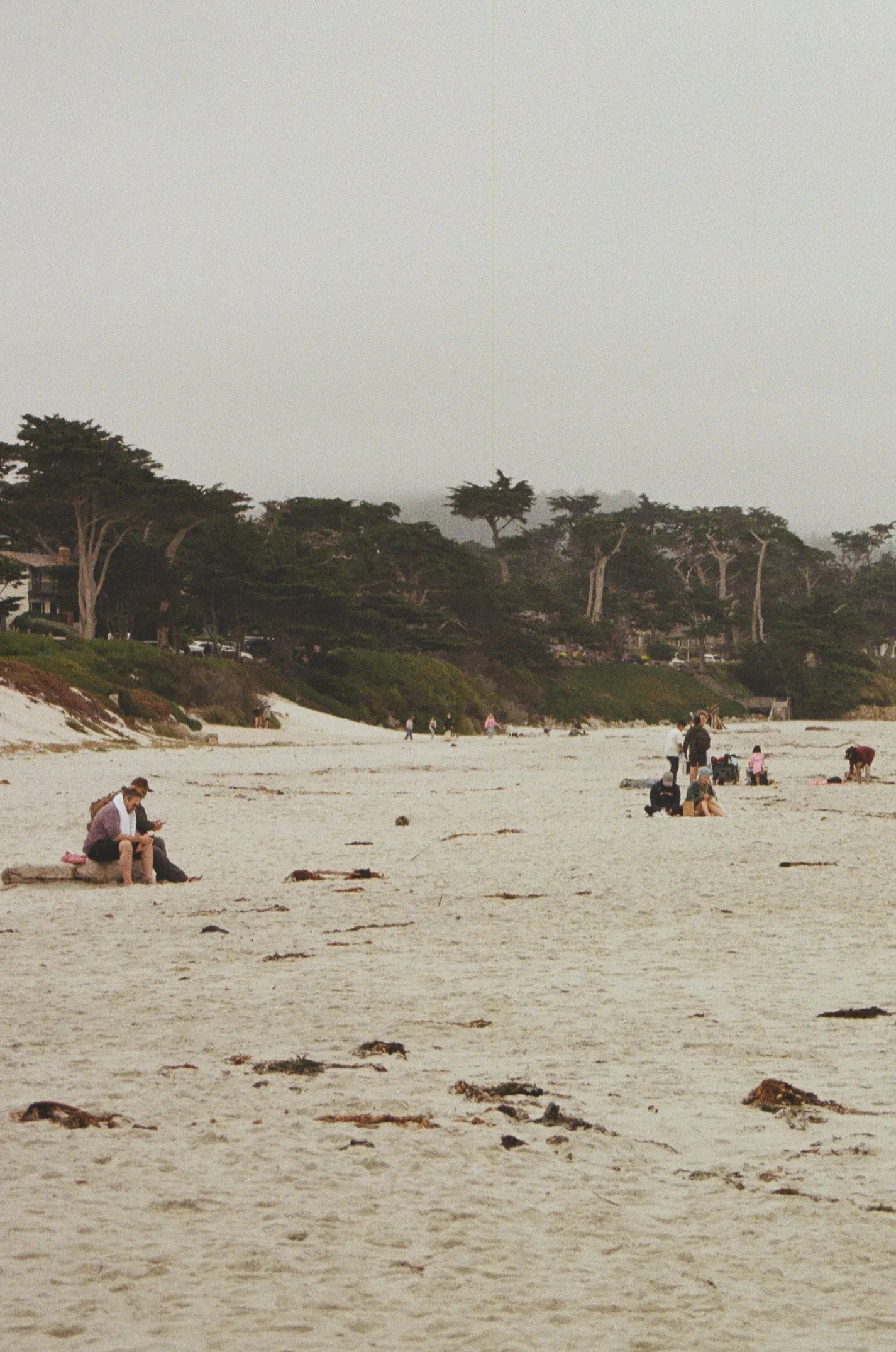 People walking and sitting on the sandy beach, with trees and houses in the background under a gray sky.