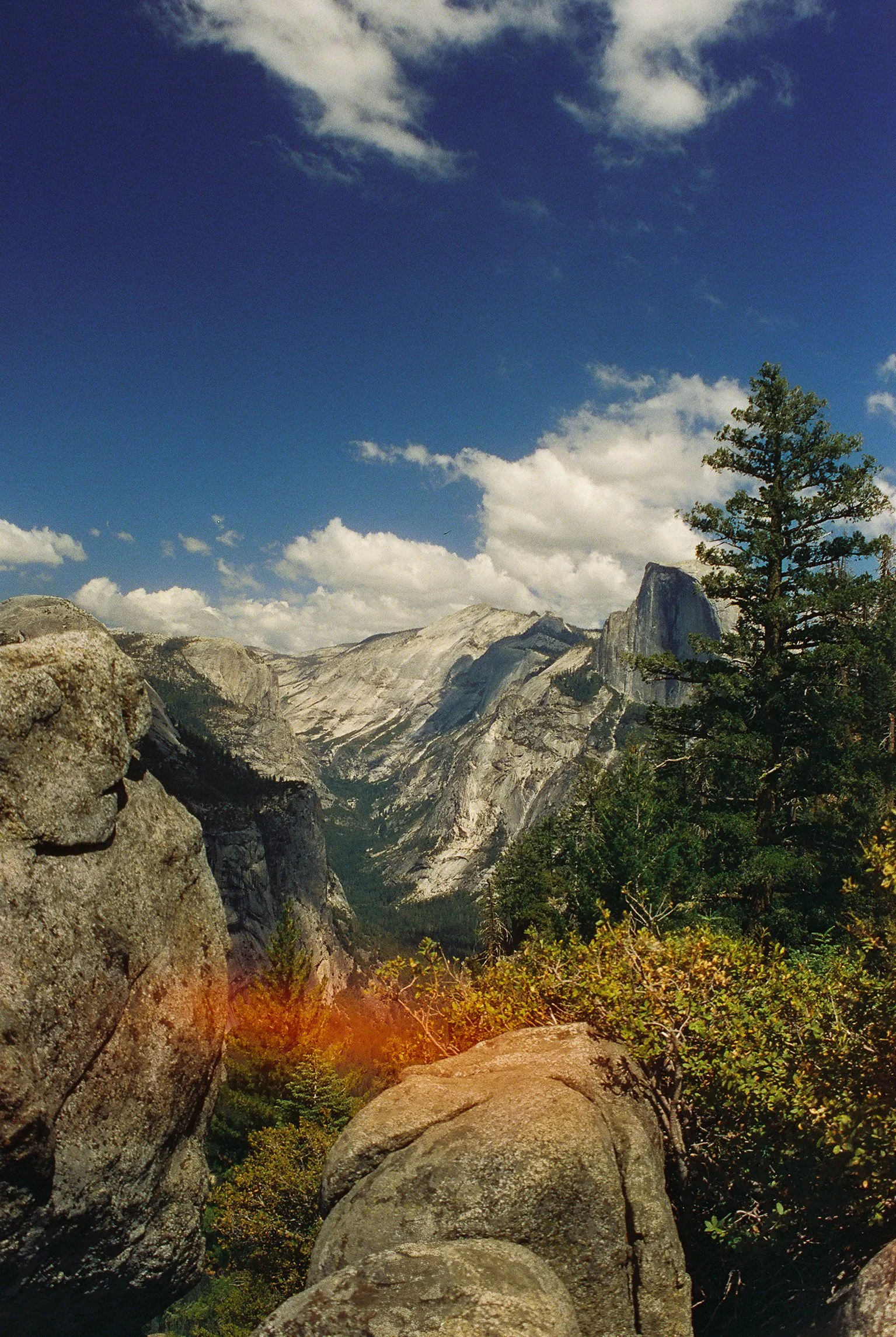 Tall trees and large granite rocks in a mountainous landscape under a partly cloudy blue sky.