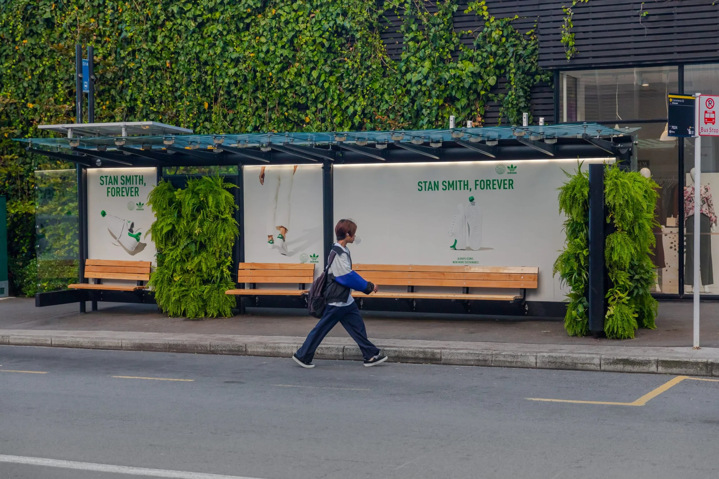 Bus stop shelter with benches and advertising posters, surrounded by green plants, with a person walking past on the sidewalk in front of a building with dark siding and large windows.