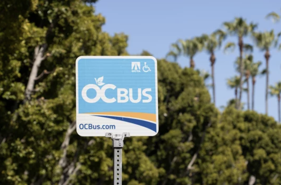 OCTA
