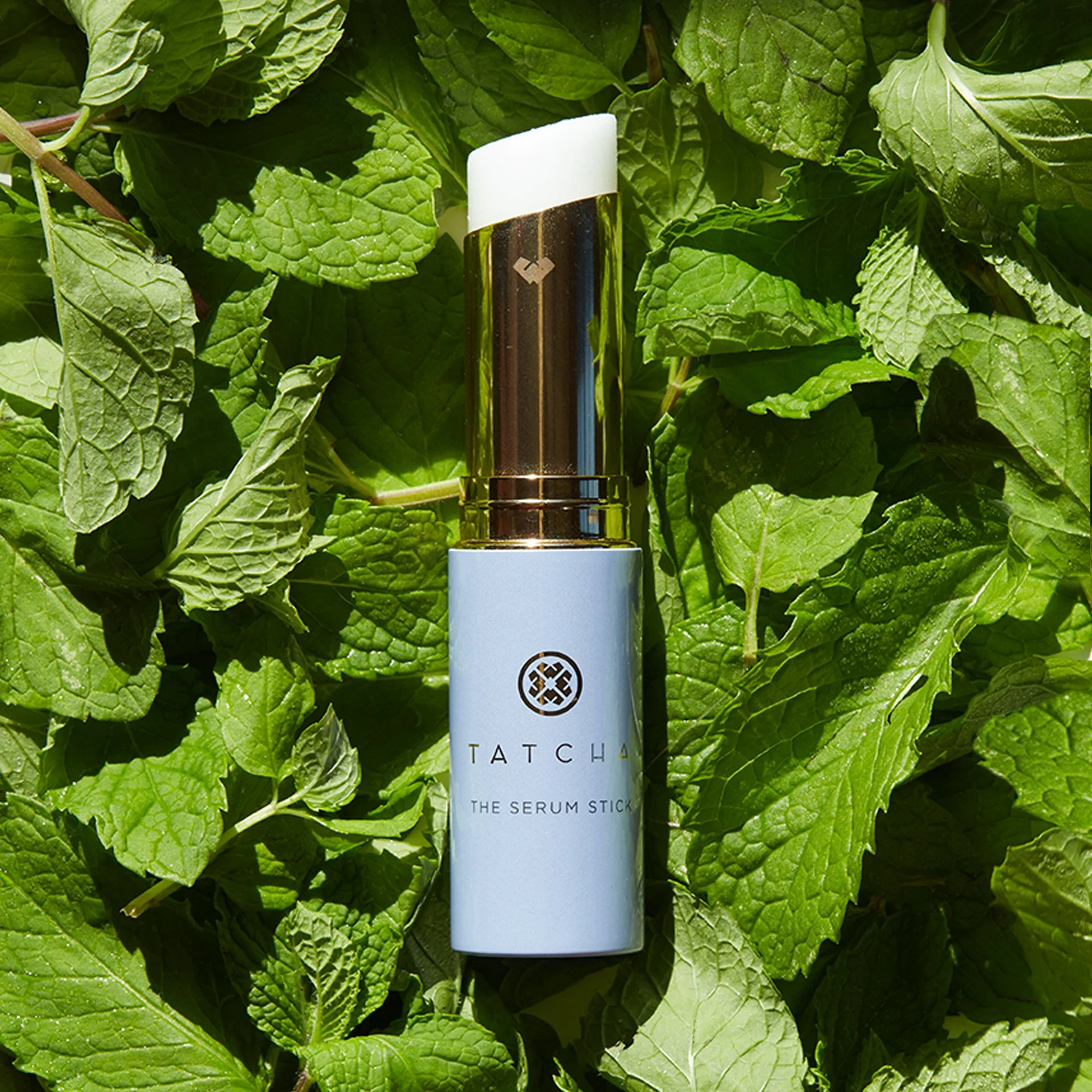 TAT19_SerumStick_Ingredient_091212019_0864_2000x2000.jpg