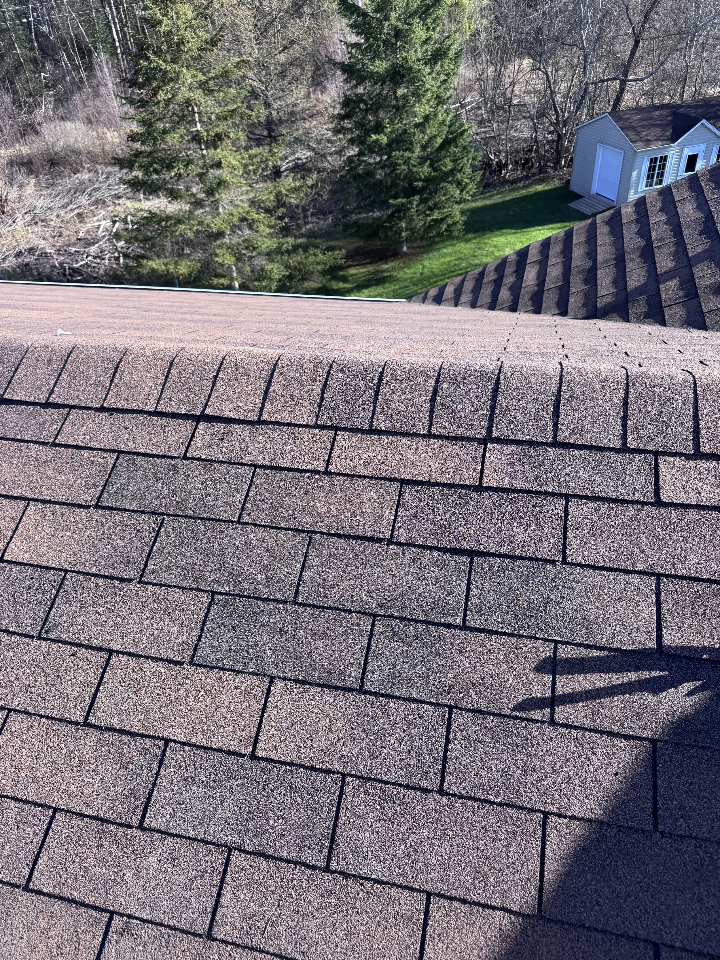 Photo taken from the roof showing asphalt shingles, trees, a grassy yard, and a small outbuilding.