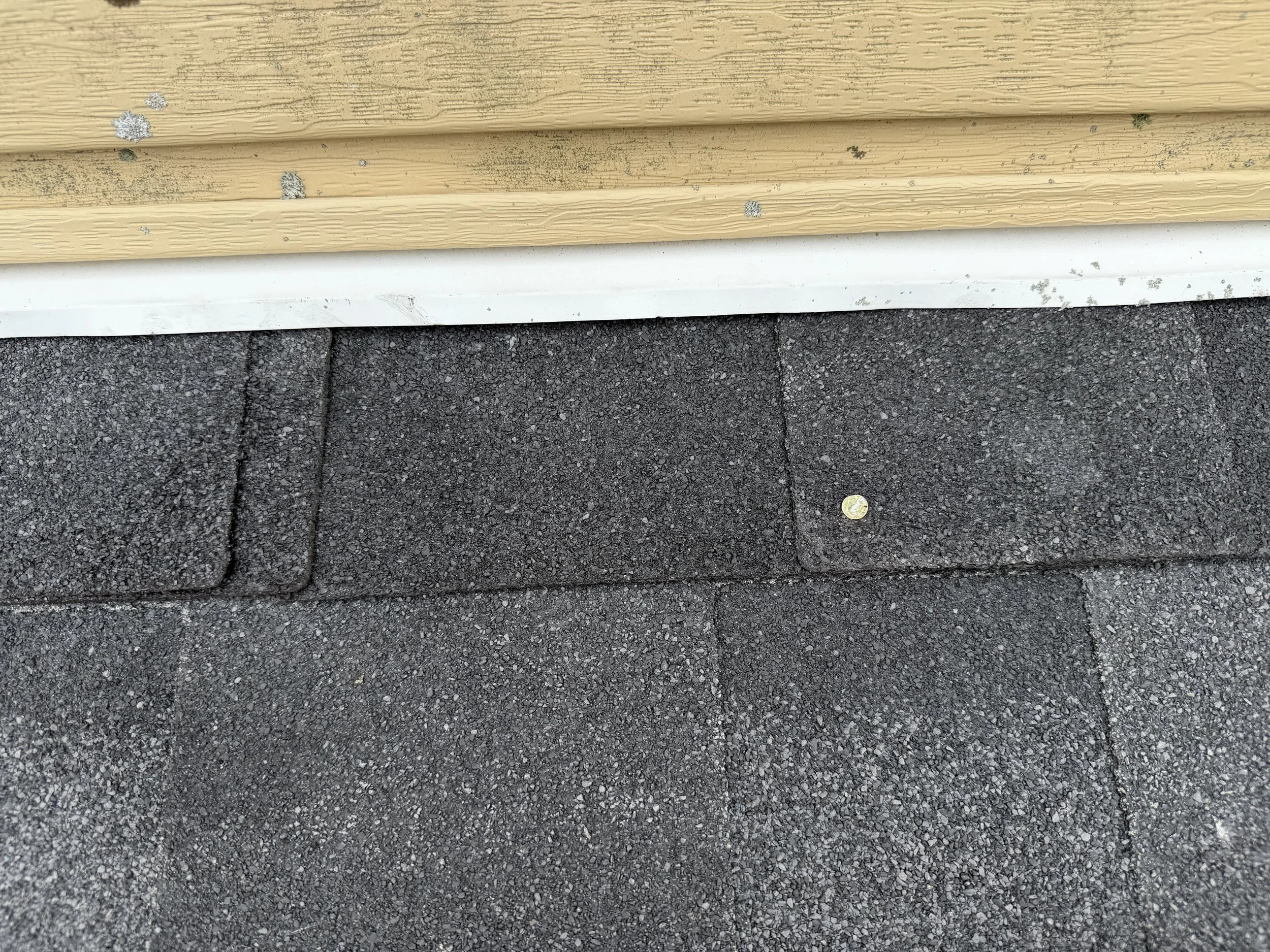 Close-up of a siding wall with tan and white trim, showing some dirt and small patches of lichen or mold, located above a dark gray asphalt shingle roof, with a single scattered penny on the shingles.