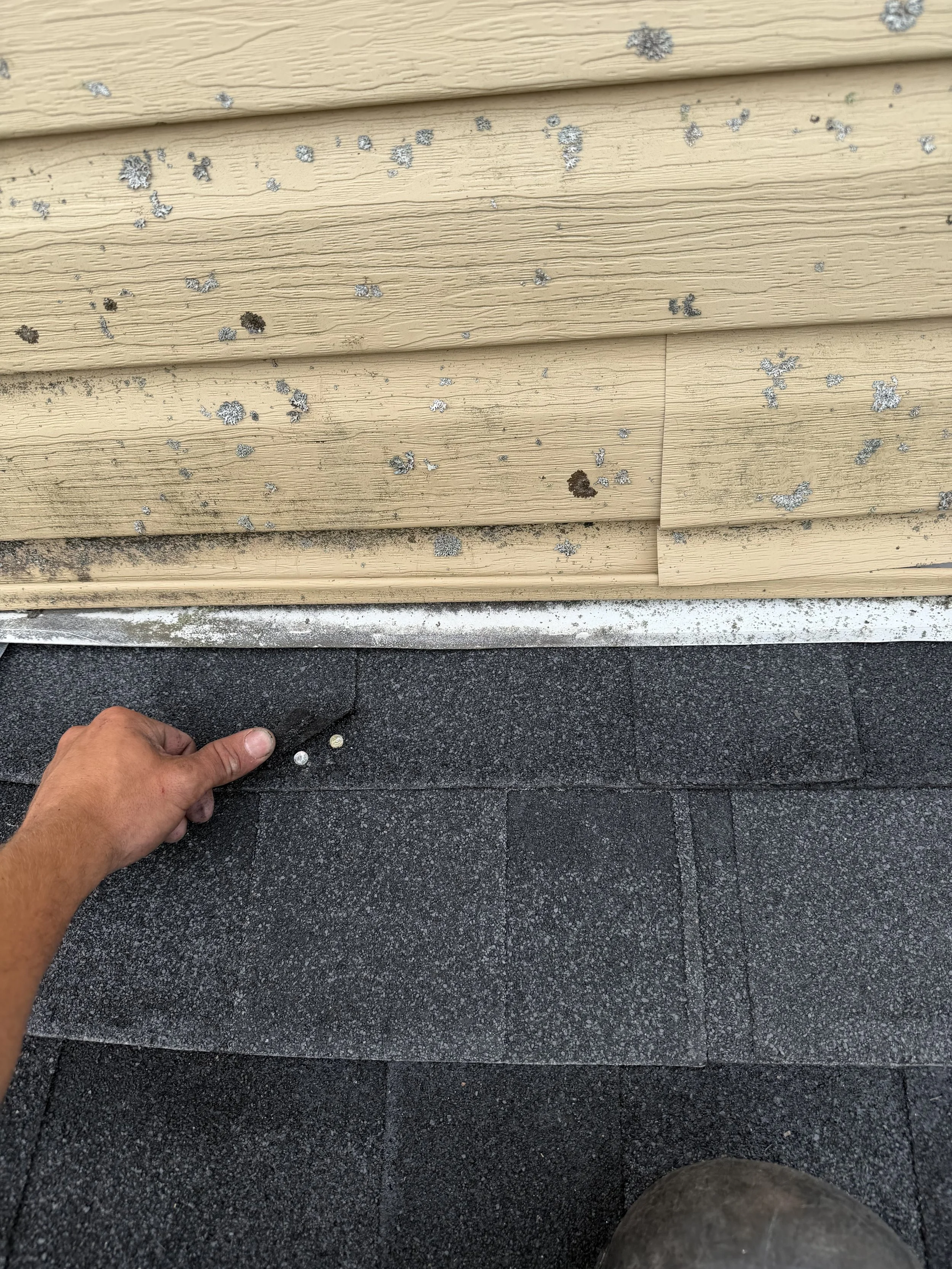 A person's hand is pointing at a black asphalt surface with three small coins on it. Behind the surface, there is a beige house siding with snowflake decorations and dirt dirt and snow accumulated at the bottom of the siding.