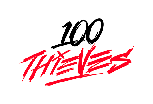 Design featuring the words '100 THEMES' with '100' in black and 'THEMES' in red, stylized text.