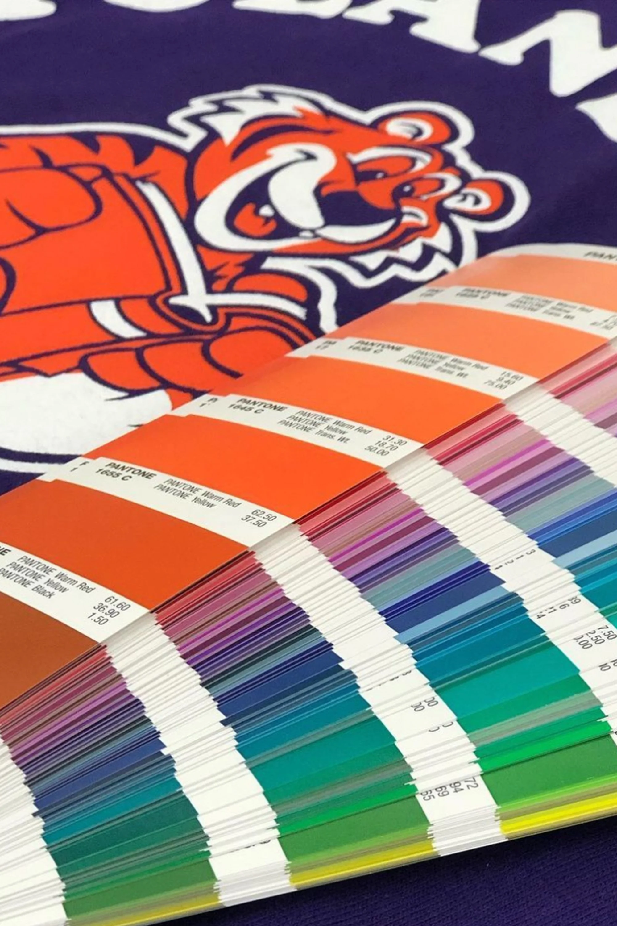Color swatch samples with labels in front of a sports team shirt featuring a lion mascot.