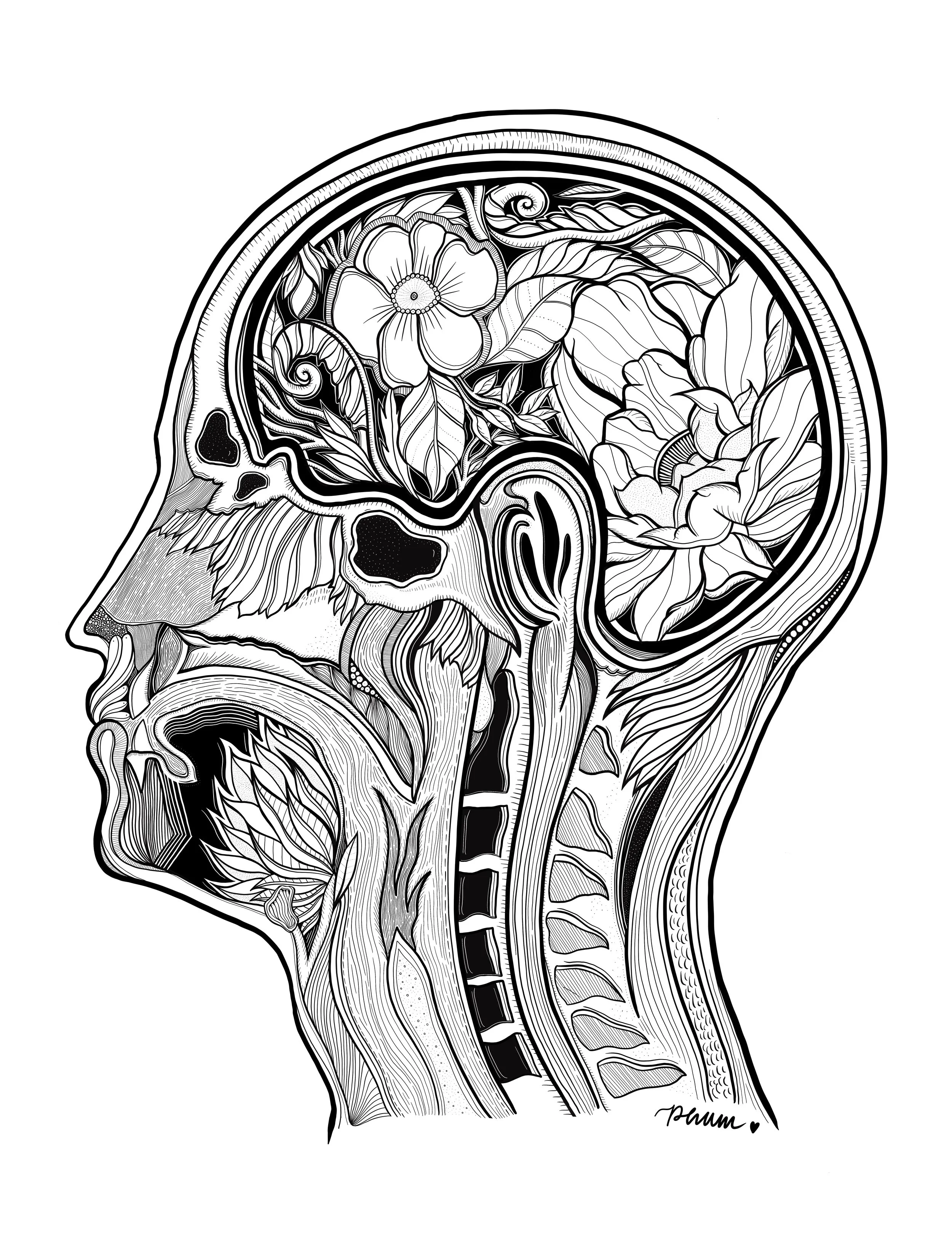 head.jpg