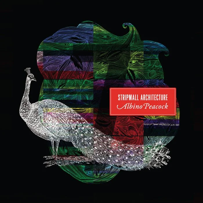 SMA-albinopeacock.jpg
