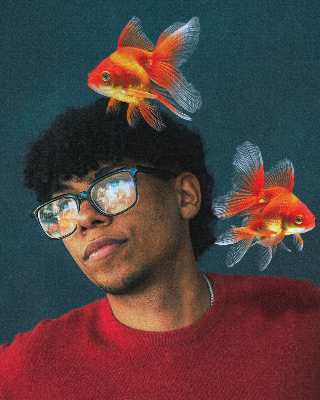 GOLDFISH 1 NO ILL.png